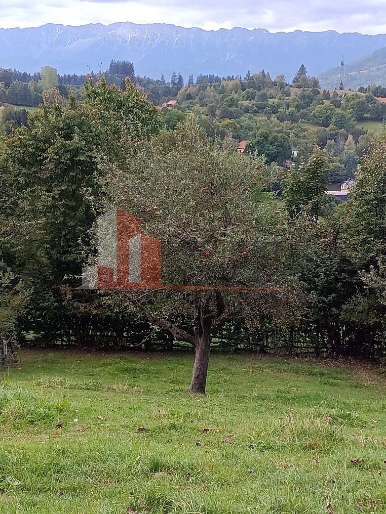 Teren intravilan 1.300 mp | Vedere Piatra Craiului | Bran Poarta — fotografia 4