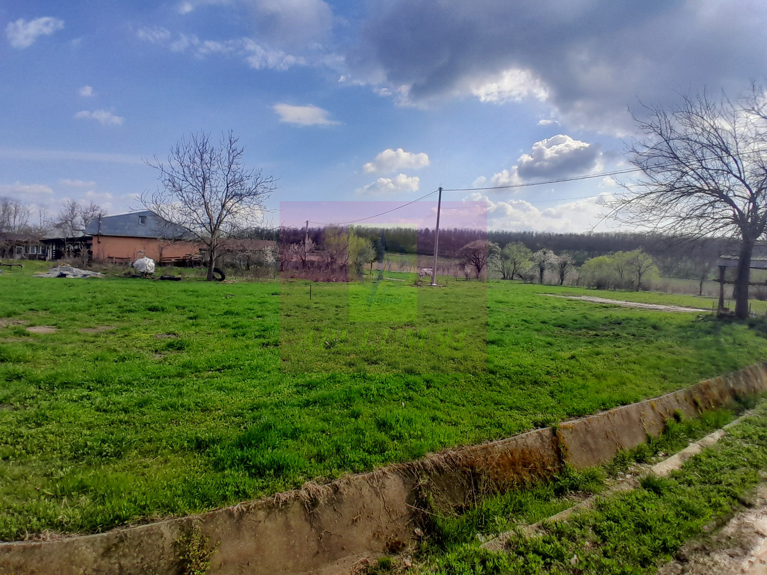 GIURGIU - SE VINDE TEREN 3400 MP IN SAT PODU ILFOVATULUI — fotografia 4
