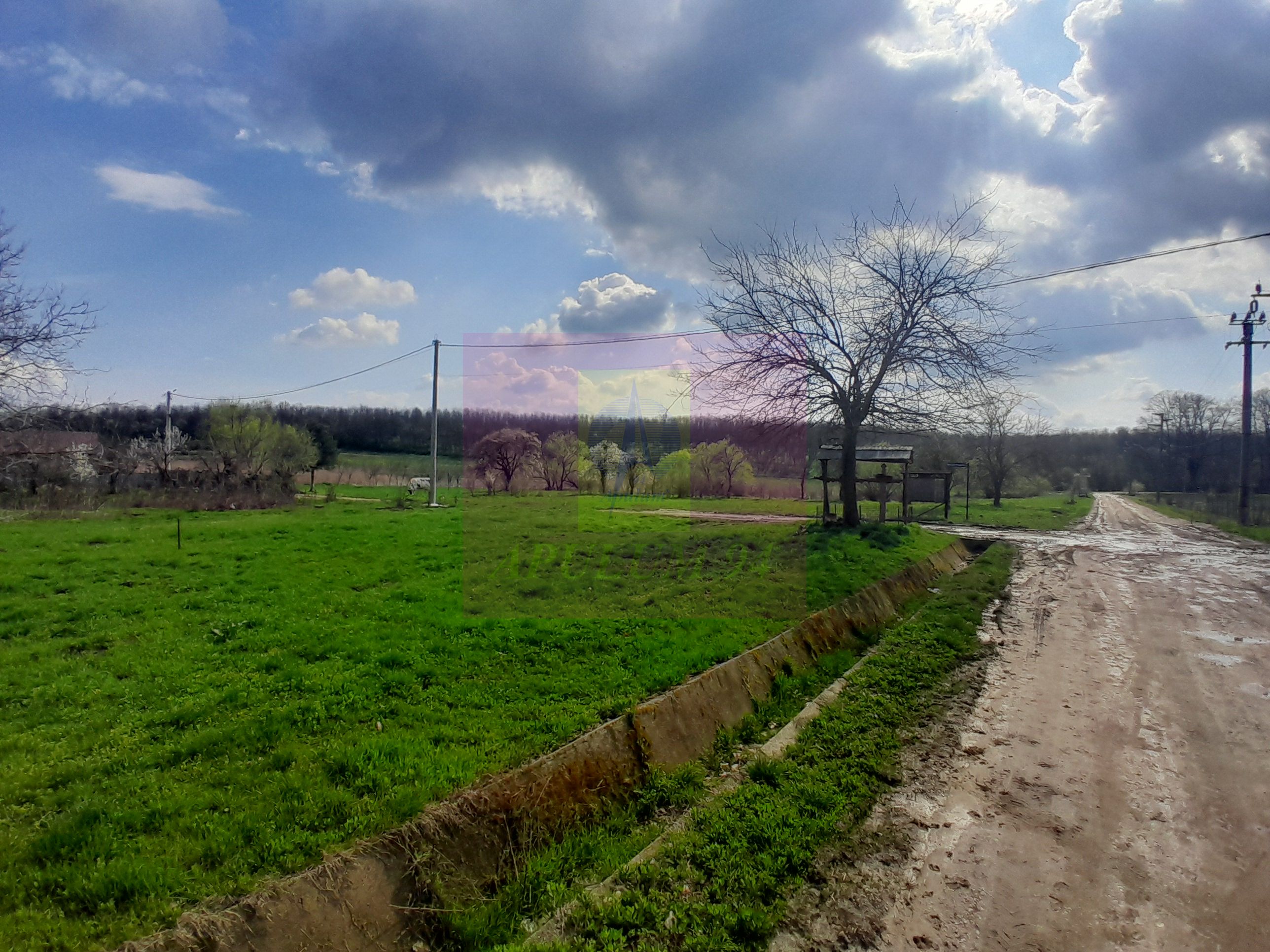 GIURGIU - SE VINDE TEREN 3400 MP IN SAT PODU ILFOVATULUI — fotografia 5