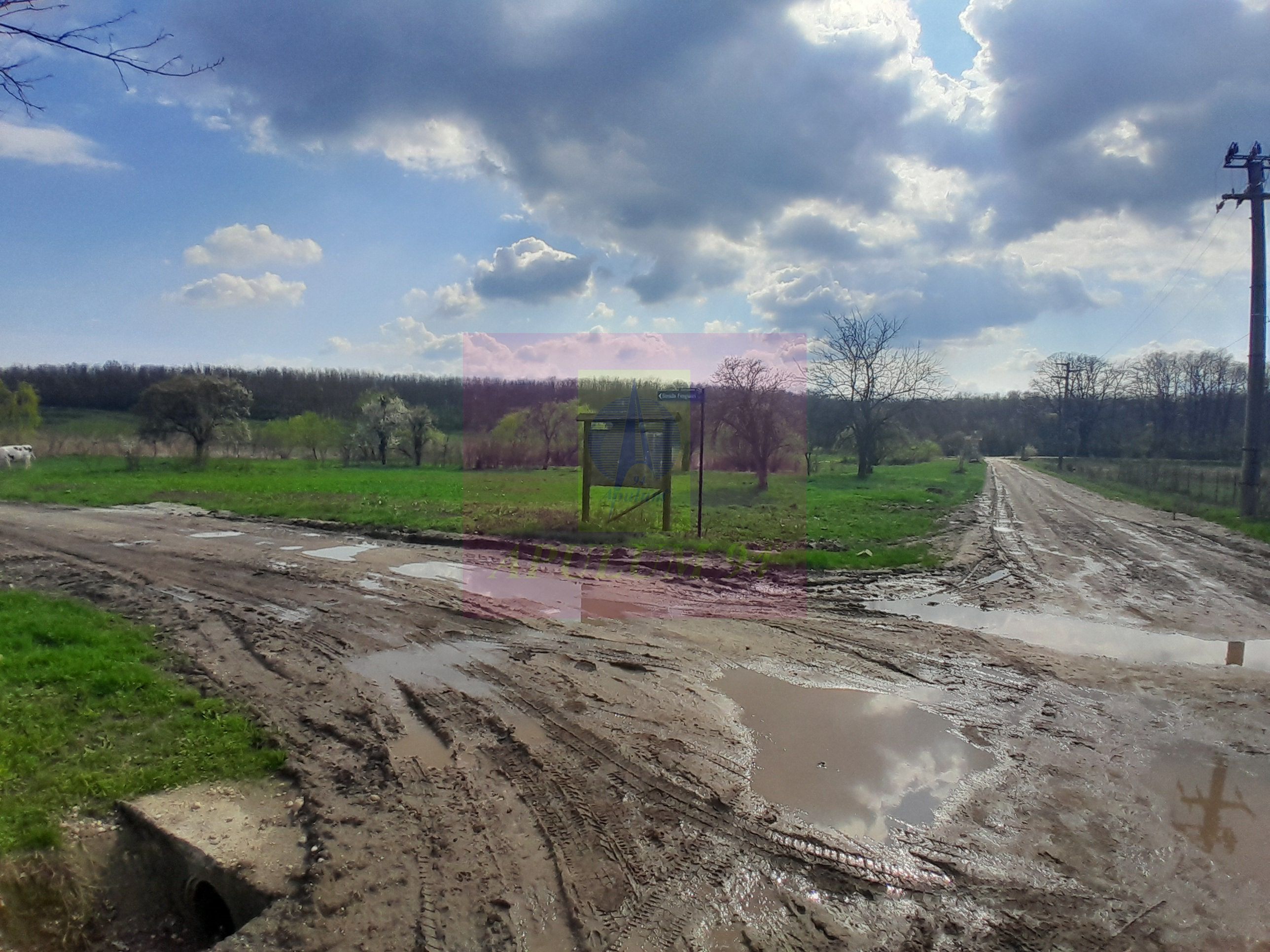 GIURGIU - SE VINDE TEREN 3400 MP IN SAT PODU ILFOVATULUI — fotografia 6