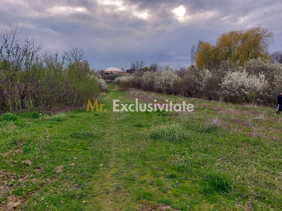 Teren Topoloveni - 3670 mp - langa padure, aproape de Centrul orasului