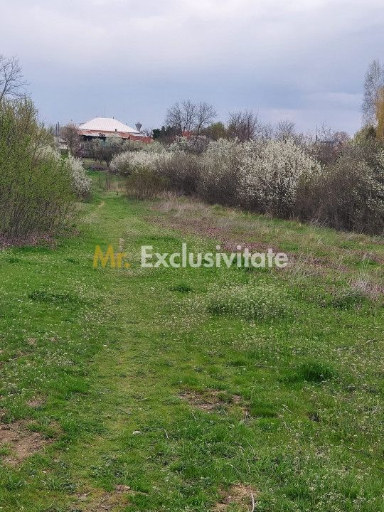 Teren Topoloveni - 3670 mp - langa padure, aproape de Centrul orasului — fotografia 3