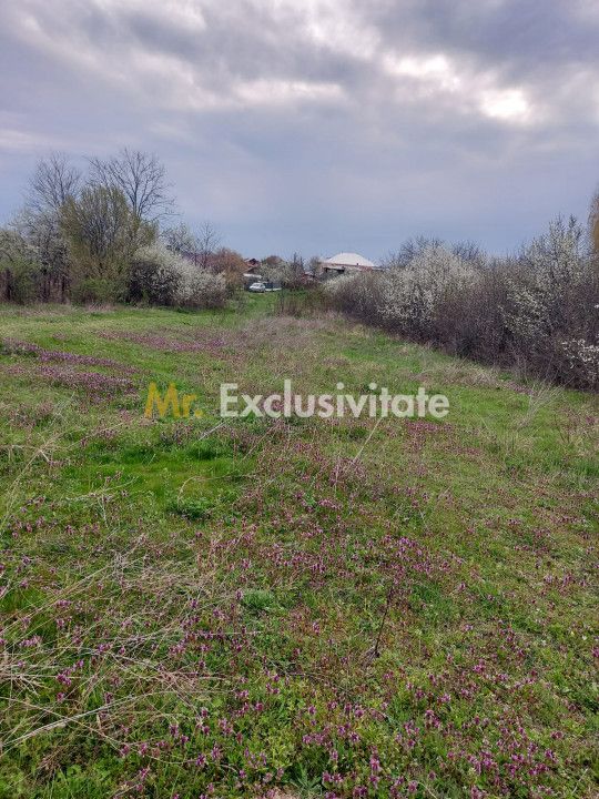Teren Topoloveni - 3670 mp - langa padure, aproape de Centrul orasului — fotografia 5