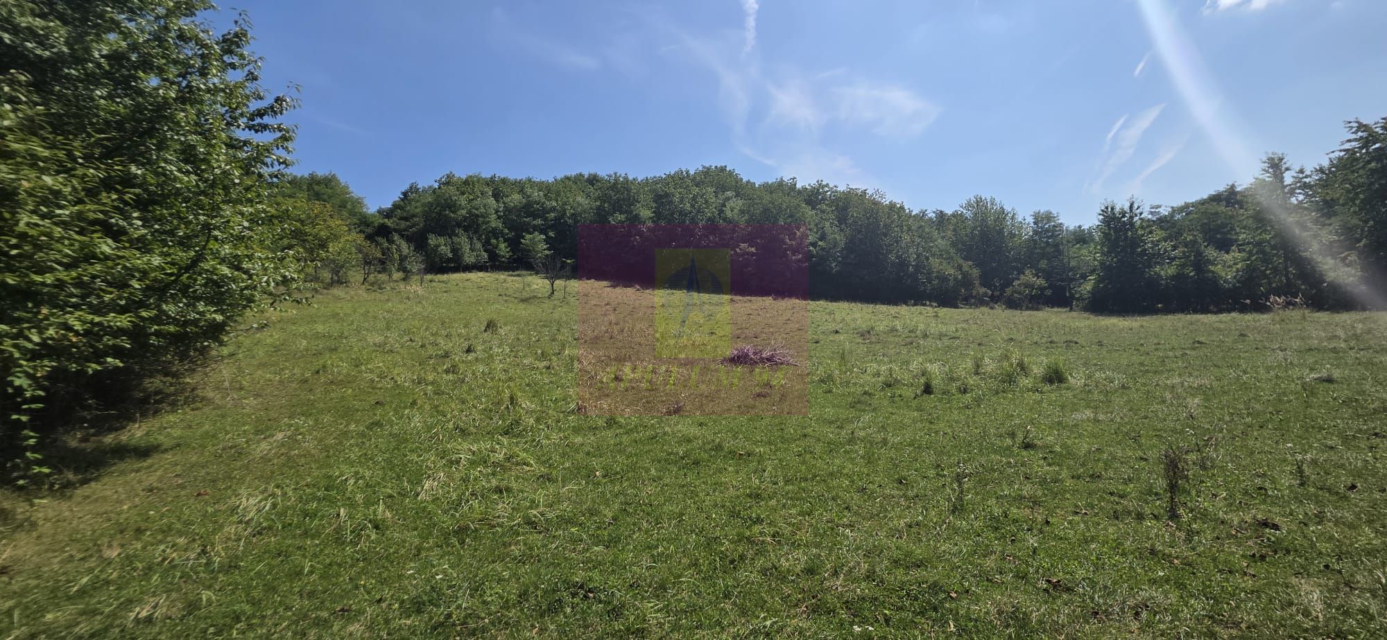 Teren intravilan de vanzare 2500 mp in Banesti — fotografia 4