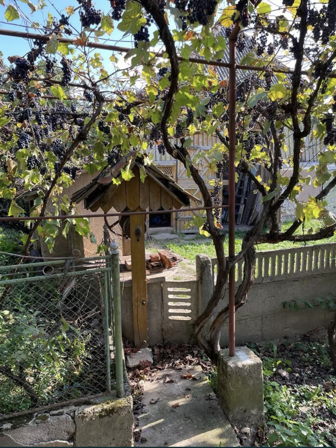 Vand casa la tara — fotografia 5