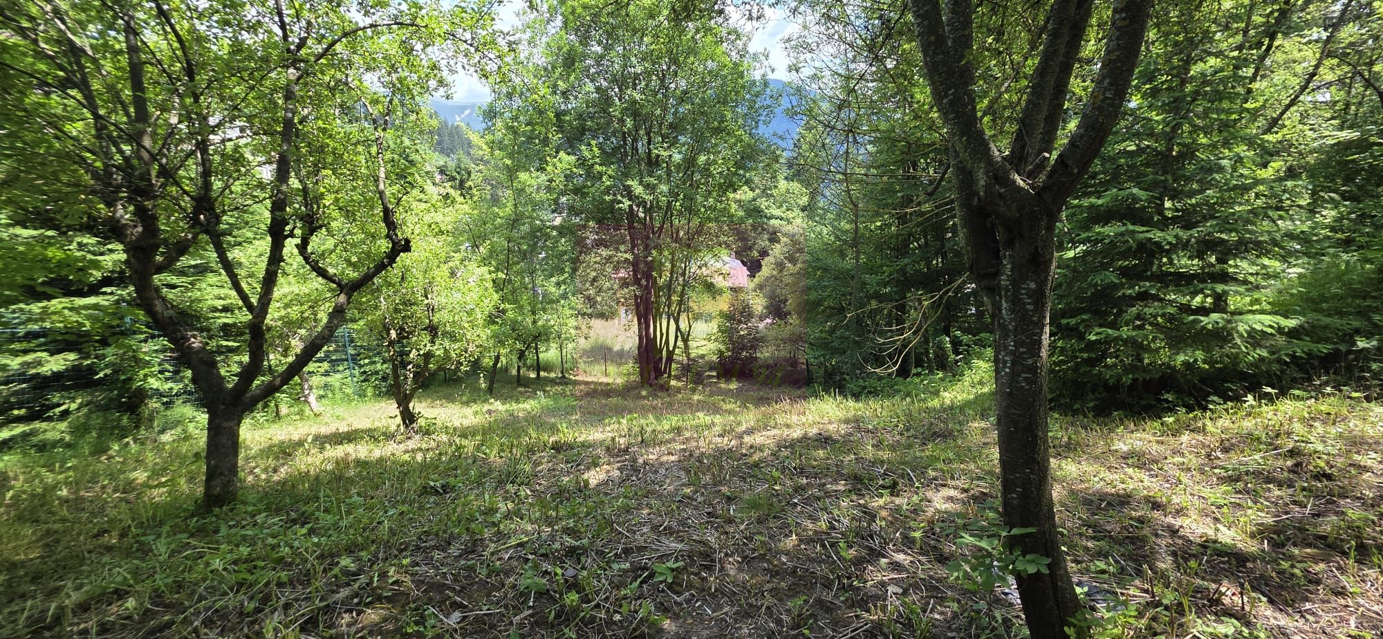 Teren exclusivist pentru dezvoltare imobiliară – Zona Furnica, Sinaia — fotografia 2