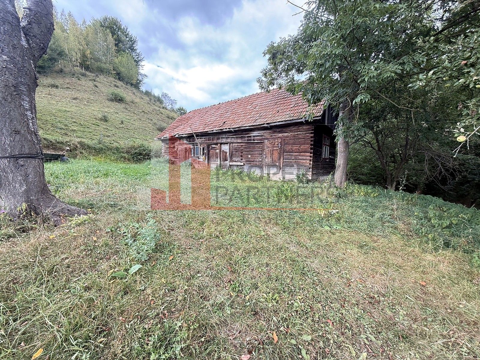 Teren de investiție în Moieciu, lângă Castelul Bran – 11.381 mp, vedere Bucegi — fotografia 3