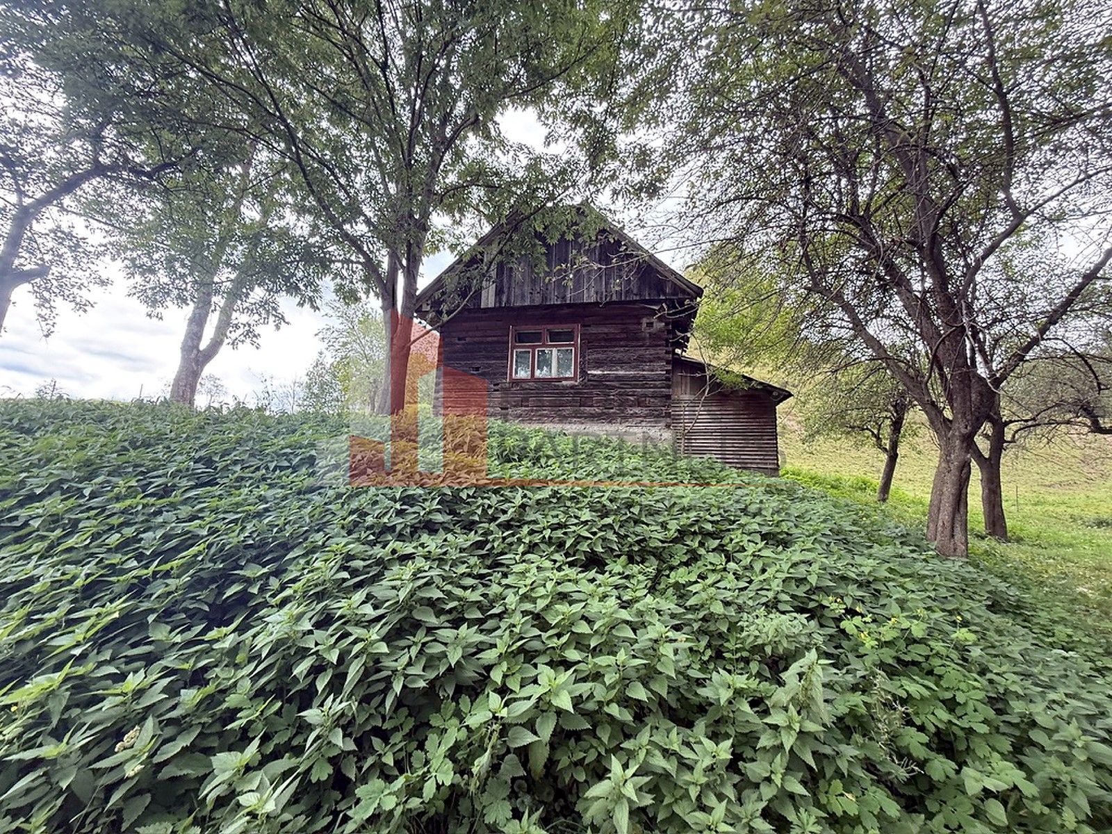 Teren de investiție în Moieciu, lângă Castelul Bran – 11.381 mp, vedere Bucegi — fotografia 4