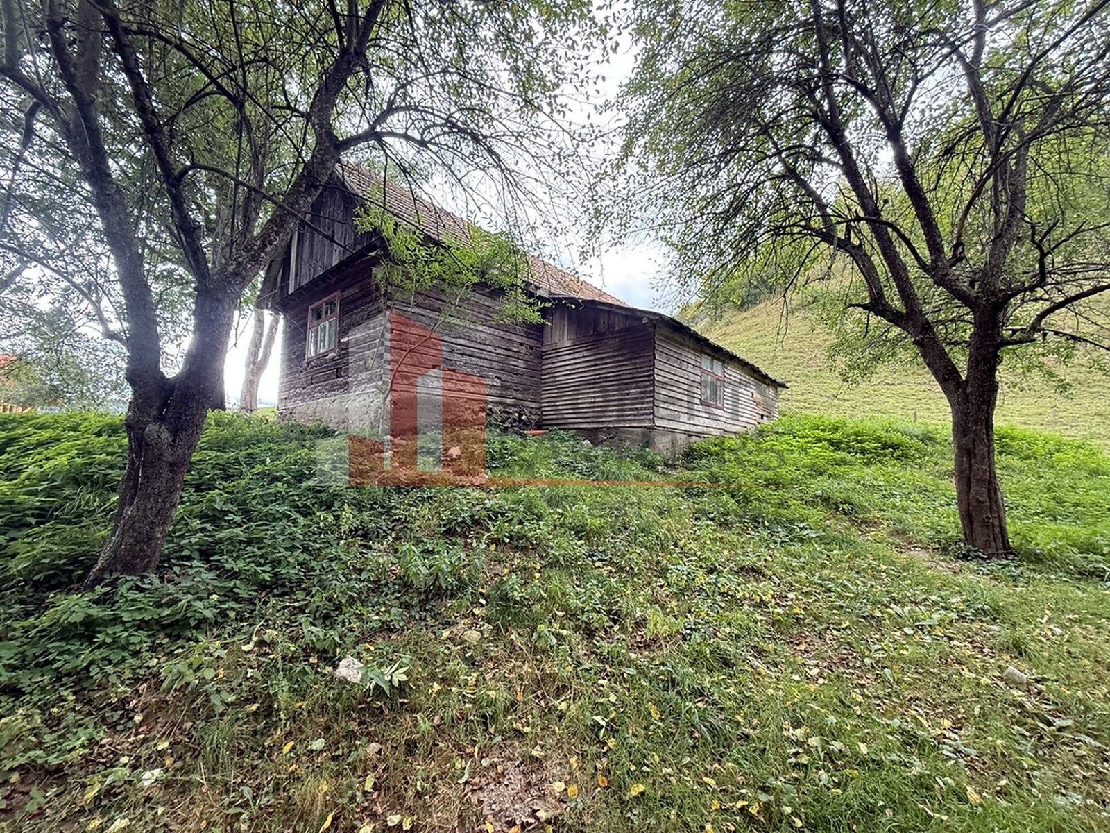 Teren de investiție în Moieciu, lângă Castelul Bran – 11.381 mp, vedere Bucegi — fotografia 5