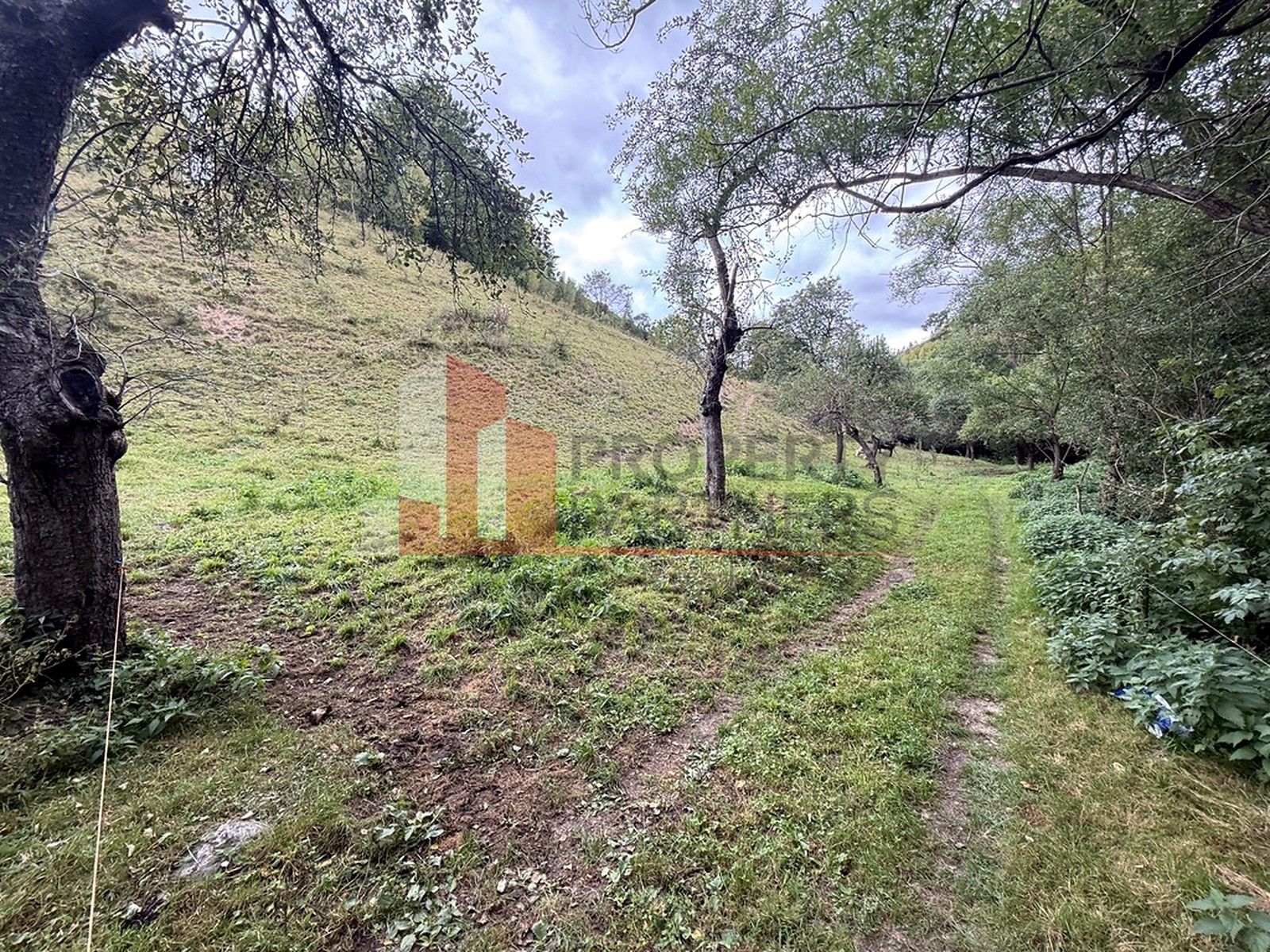 Teren de investiție în Moieciu, lângă Castelul Bran – 11.381 mp, vedere Bucegi — fotografia 6