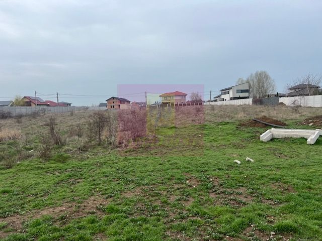 Teren Domnesti- Drumul Targului. — fotografia 4