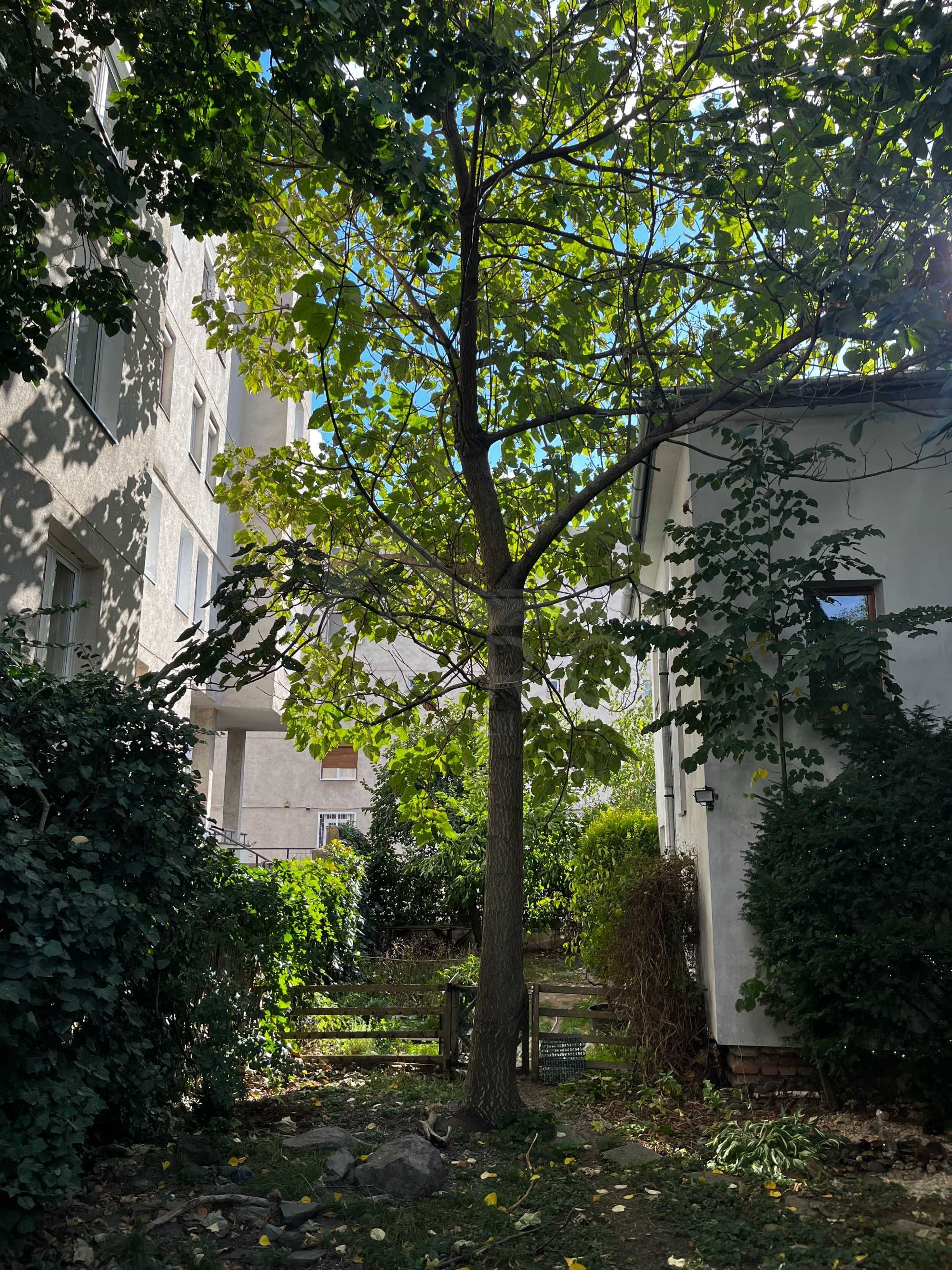 Casa individuala de vanzare aproape de centru — fotografia 3