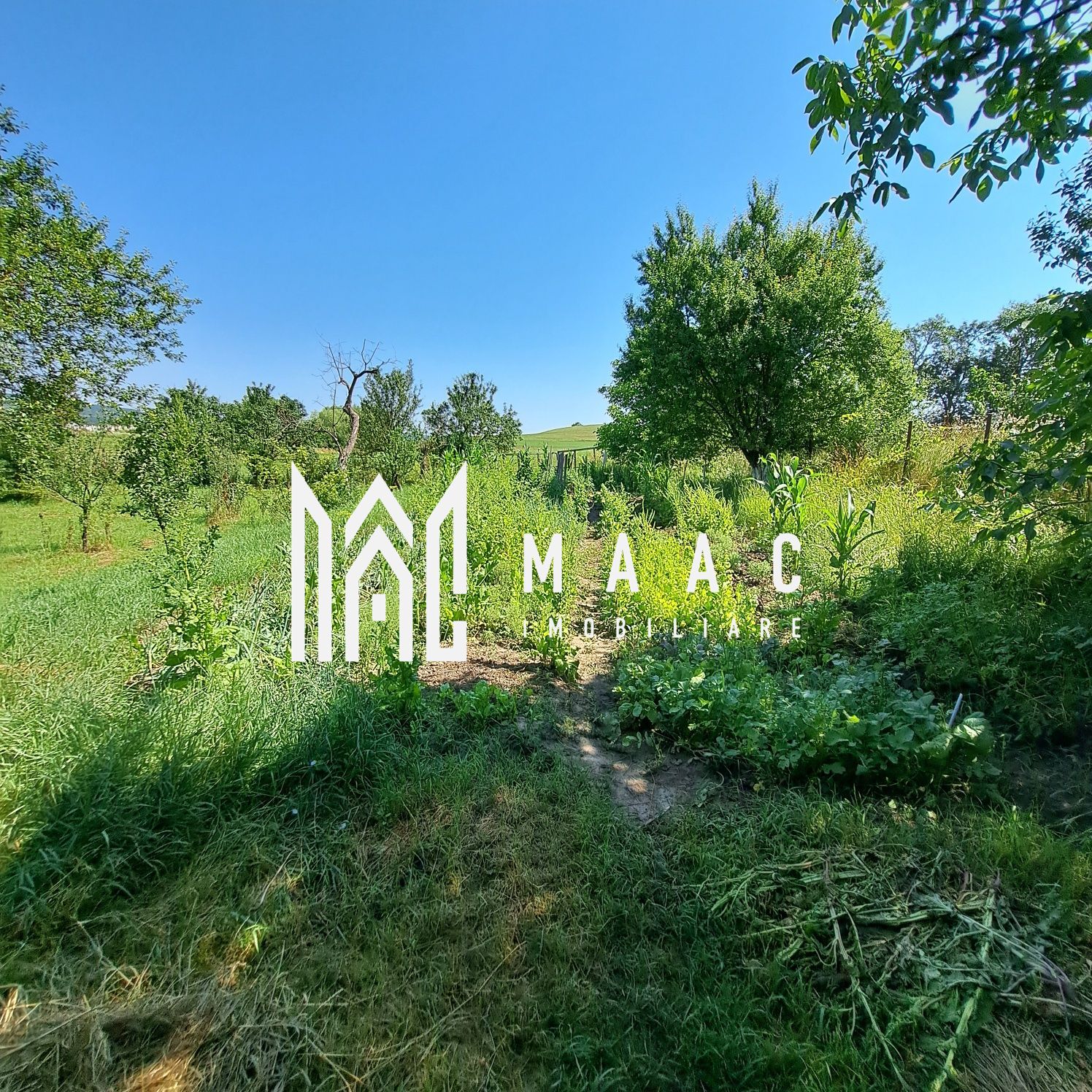 Casă individuală 2 camere | Cornățel | curte 633 mp, șură — fotografia 6