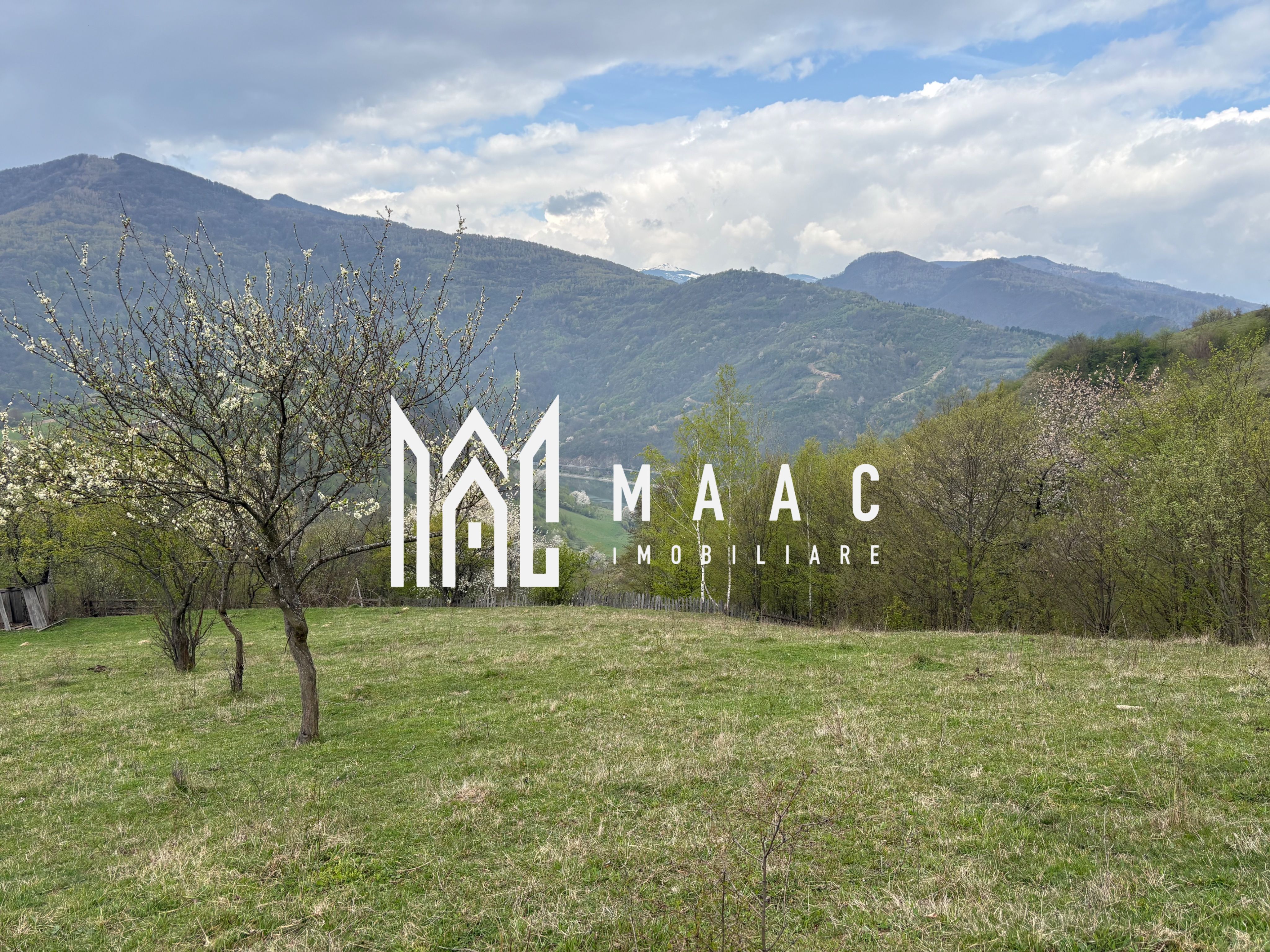Teren de vânzare, 7750 mp I Orientare sudică I Caineni — fotografia 5