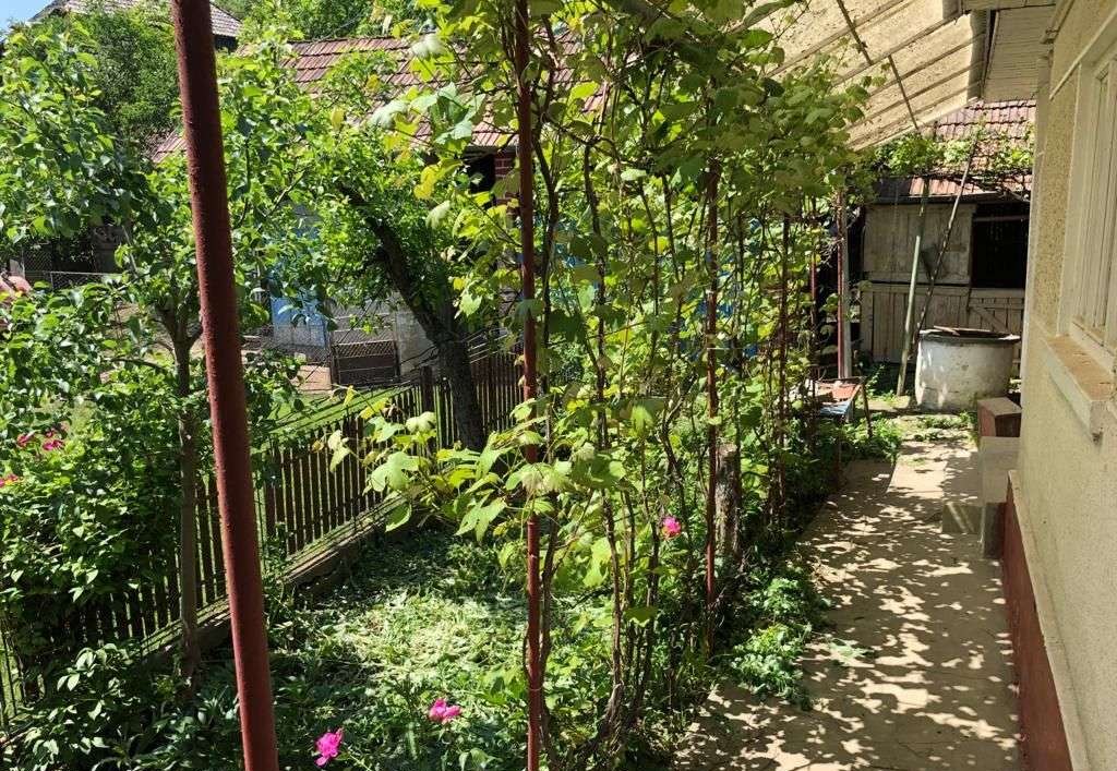 Casă din cărămidă cu 1.350 mp teren și curte mare, Râciu — fotografia 6