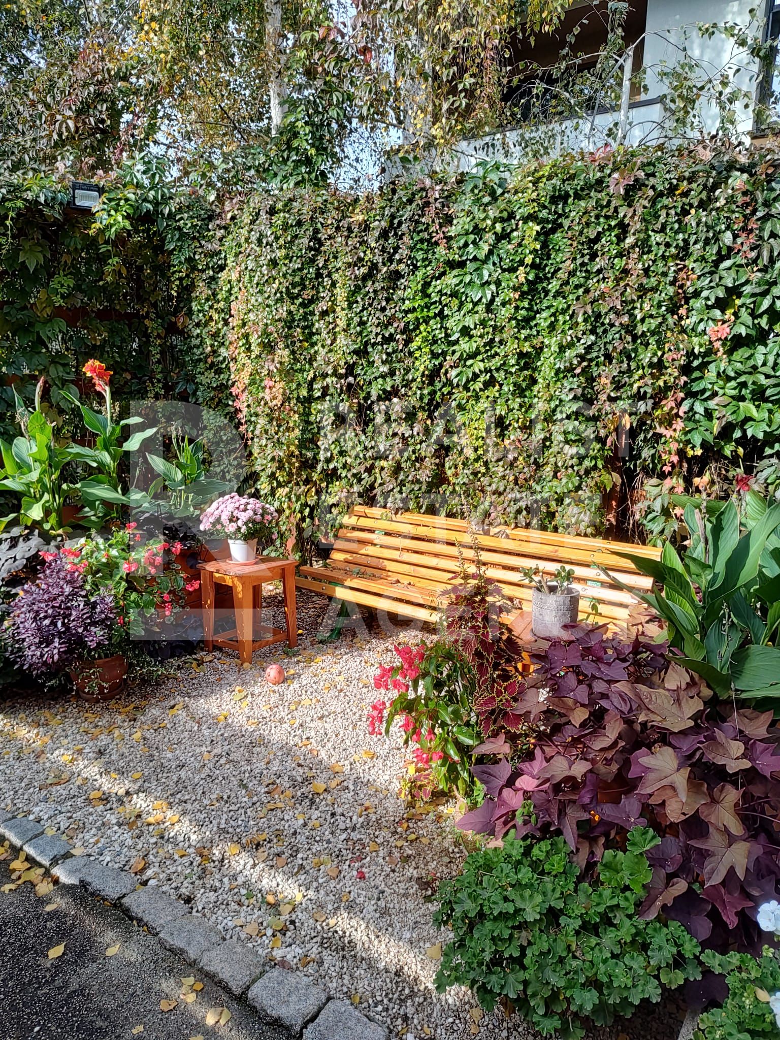 Vilă individuală 430 mp utili, teren 2.000 mp, Iași — fotografia 16