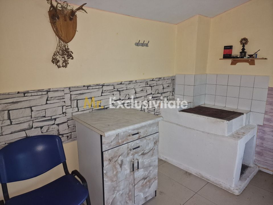 Gospodarie autentic romaneasca-Lunca Corbului, Ciesti! — fotografia 10
