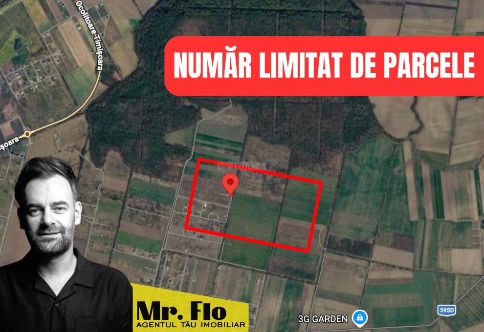 Terenuri Premium lângă Pădurea Bistra – Oportunitate Limitată