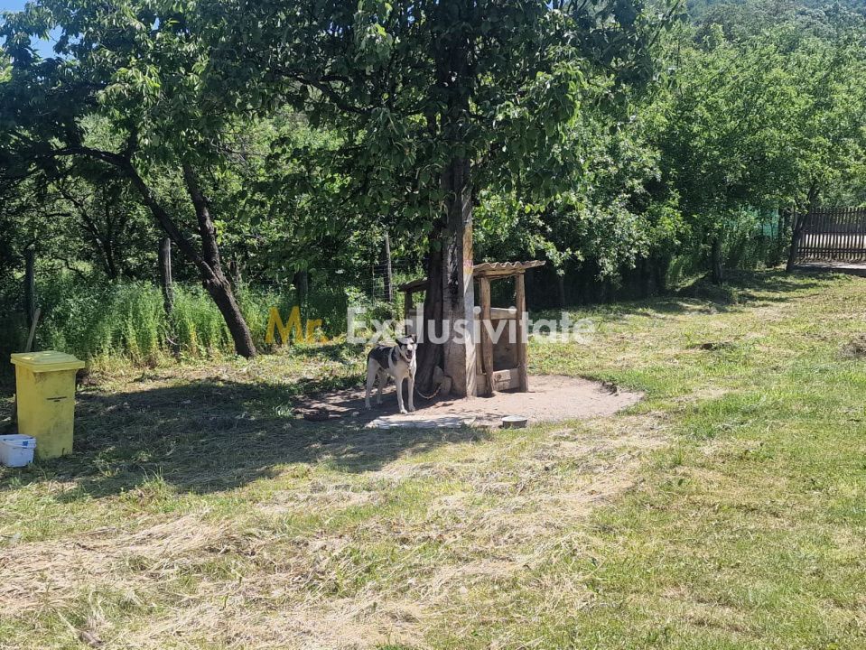 Proprietate în Comuna Botești, Județul Argeș – Zonă Pitorească și Liniștită ! — fotografia 20