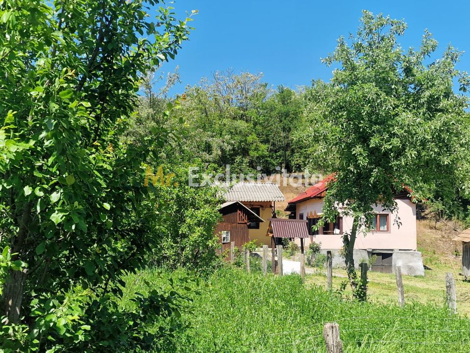 Proprietate în Comuna Botești, Județul Argeș – Zonă Pitorească și Liniștită ! — fotografia 22