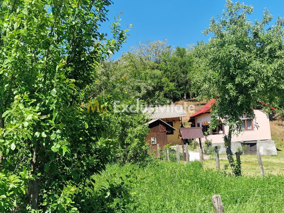 Proprietate în Comuna Botești, Județul Argeș – Zonă Pitorească și Liniștită ! — fotografia 3