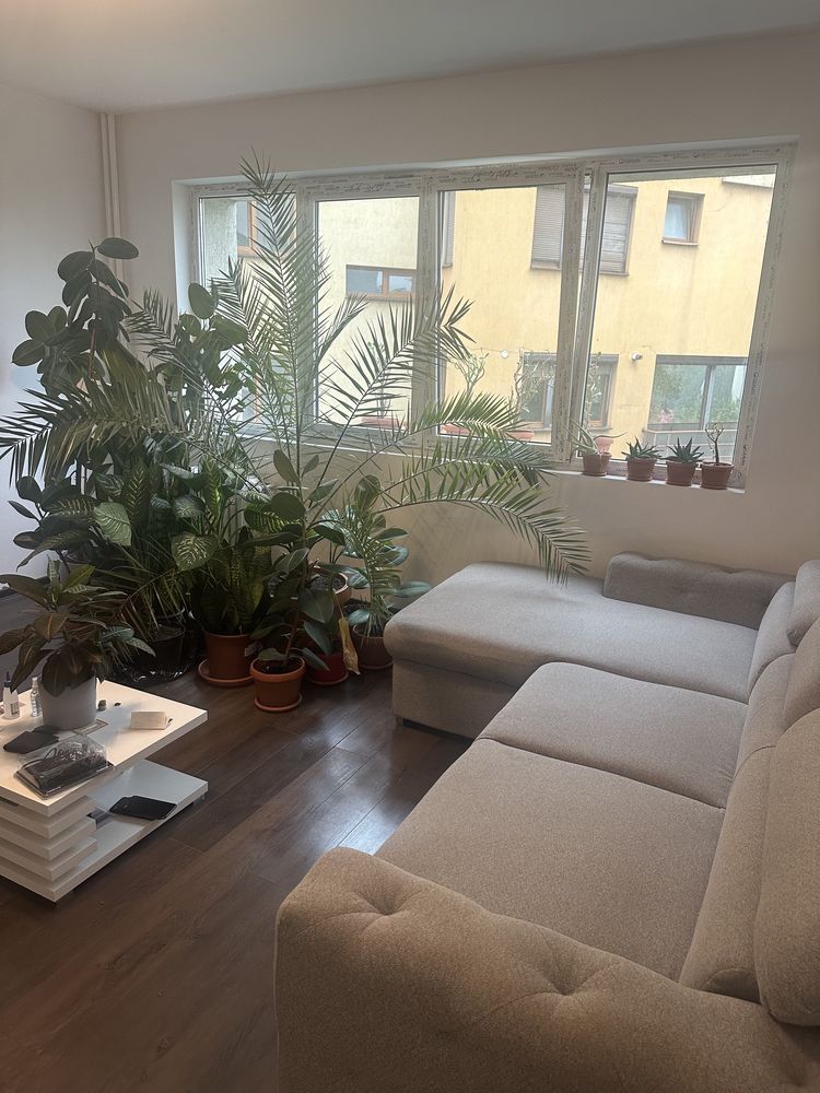 3 camere renovat Piata domenii — fotografia 3