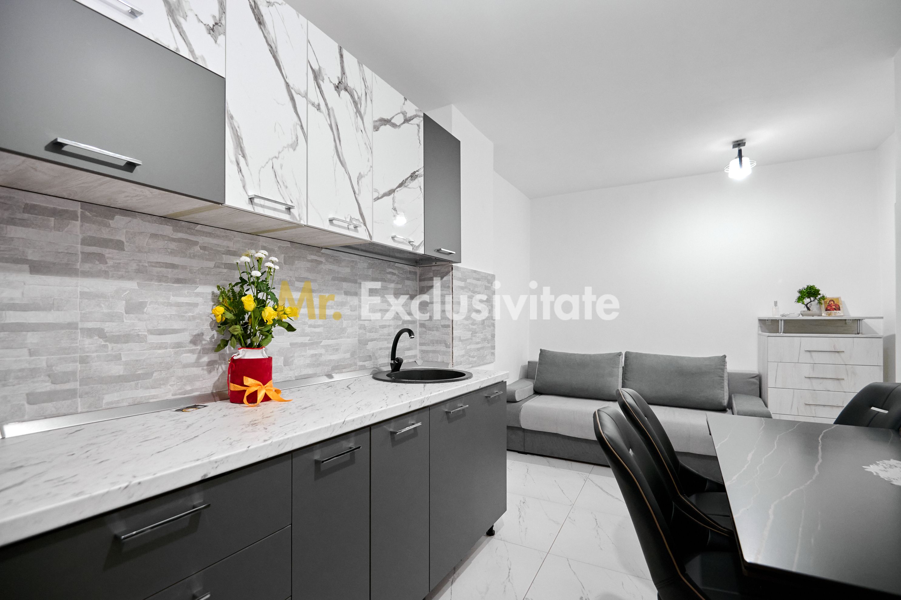 Garsonieră decomandată - Complet renovată -  Parter – Prundu — fotografia 4