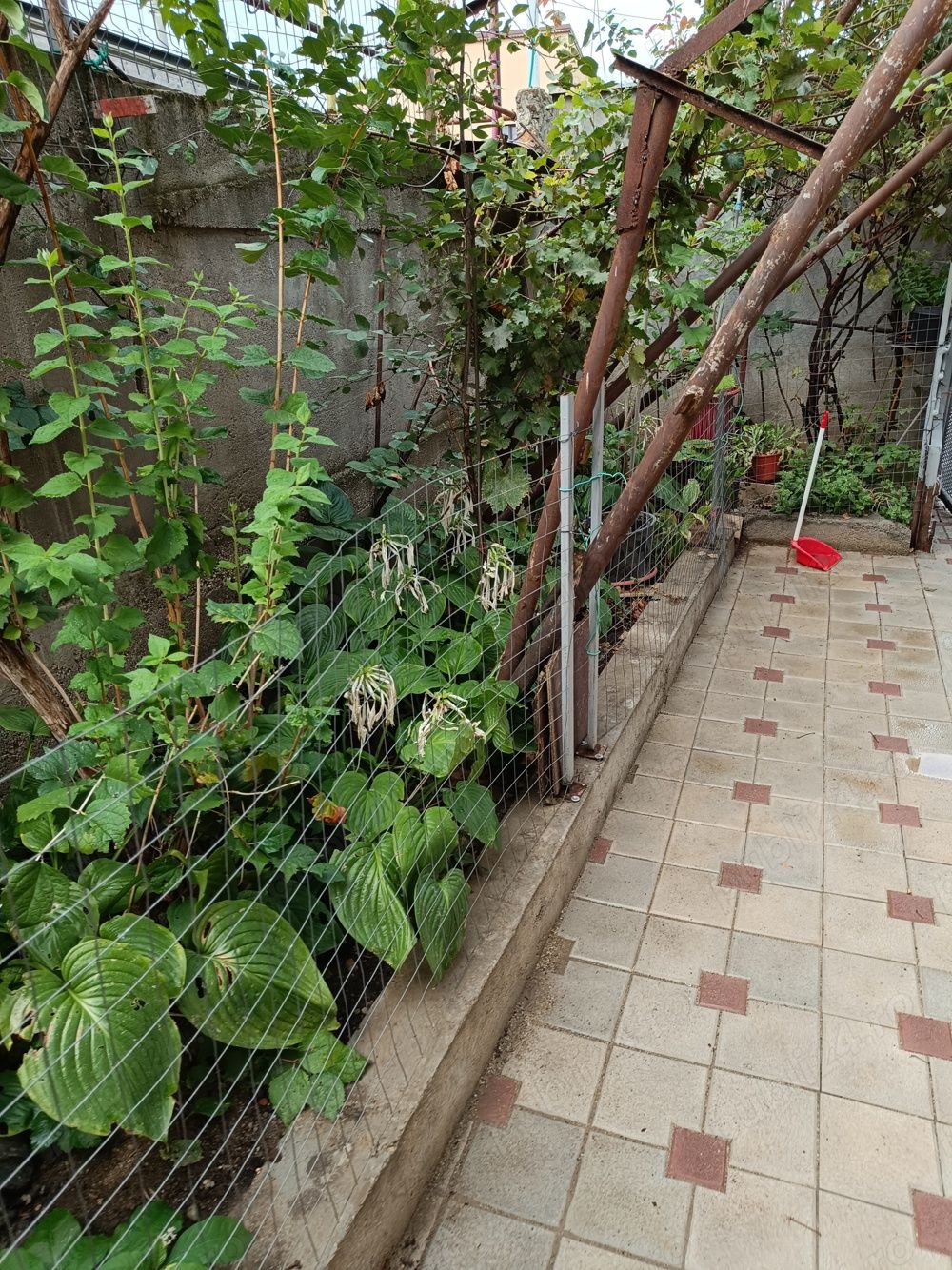 280 mp,cart.23+teren total 273mp,P+E,,mobilat(ne)toate facilit — fotografia 5