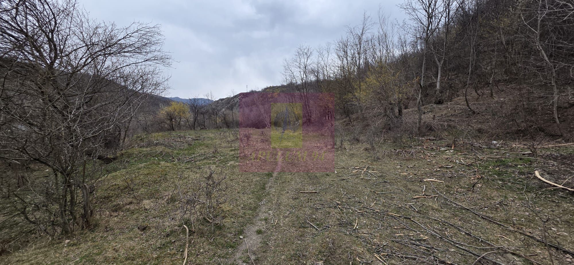 Teren de vanzare in Brebu - Raul Doftana — fotografia 3