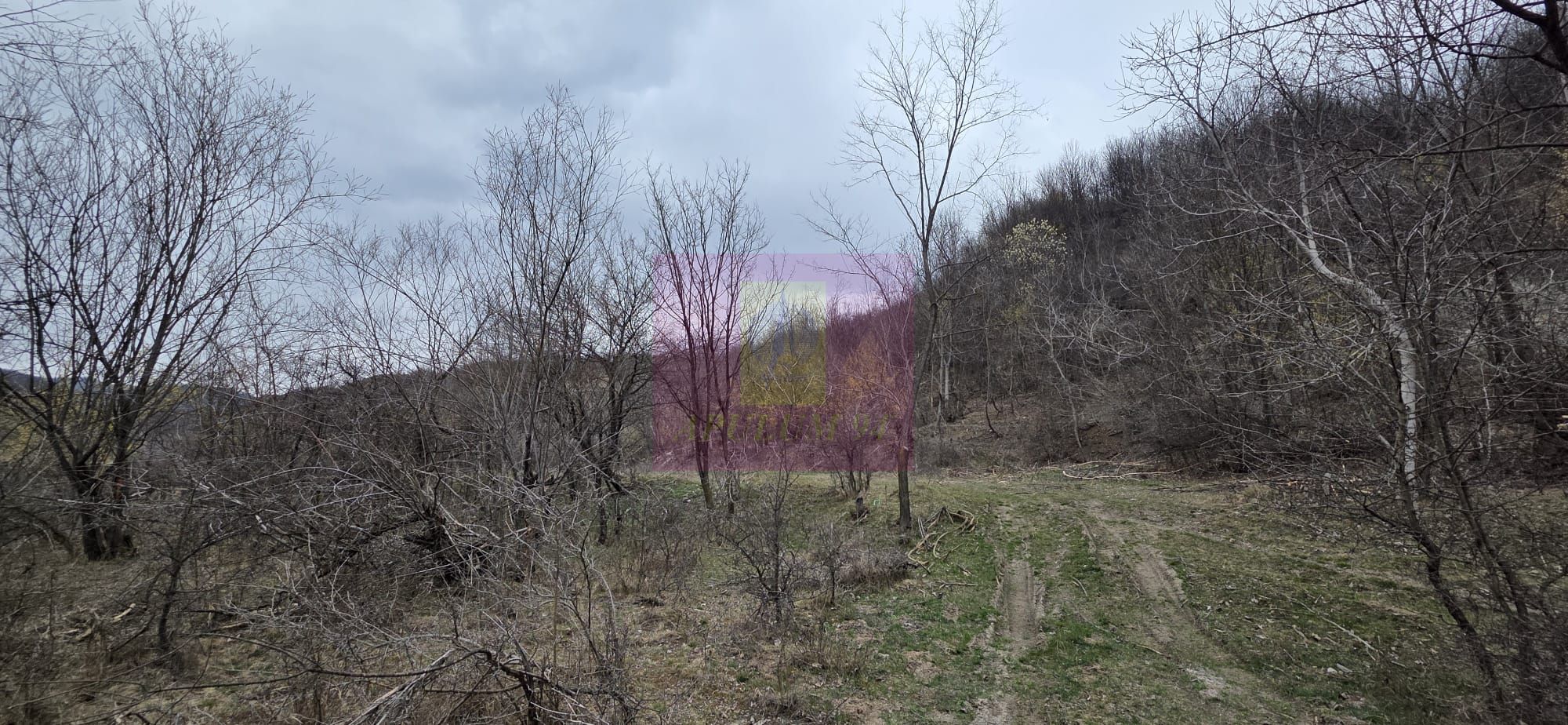 Teren de vanzare in Brebu - Raul Doftana — fotografia 5
