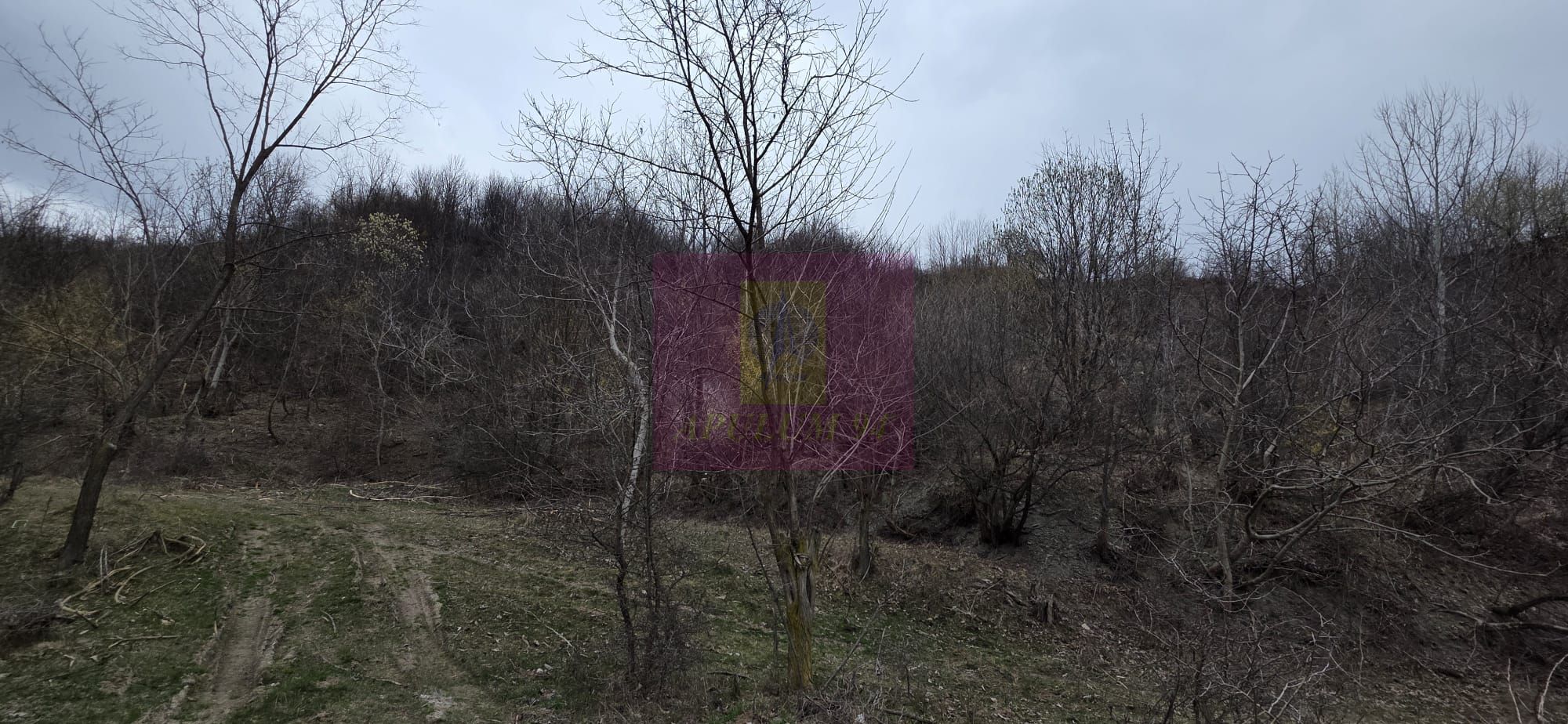 Teren de vanzare in Brebu - Raul Doftana — fotografia 6