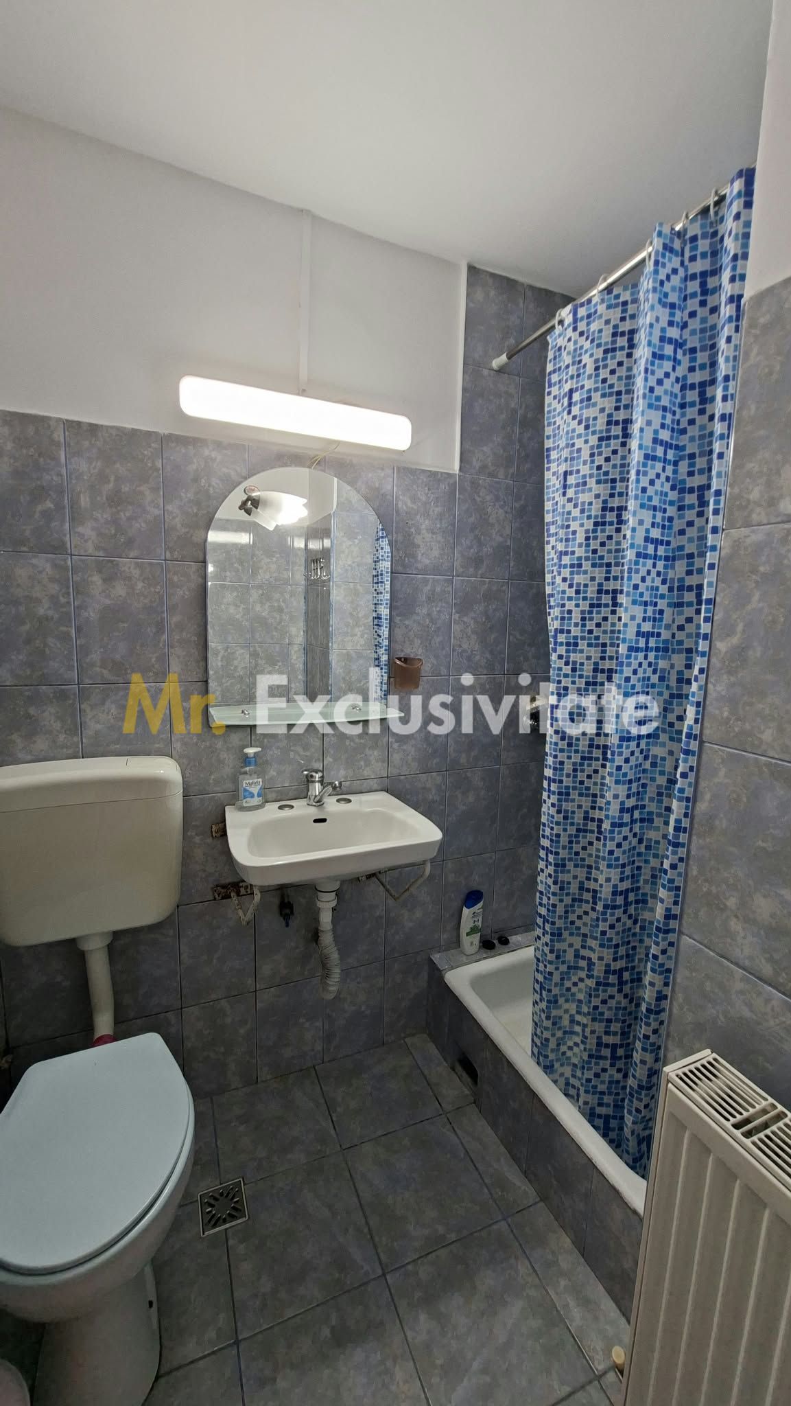 Inchiriere casal Bascov deschidere la DN7 — fotografia 12