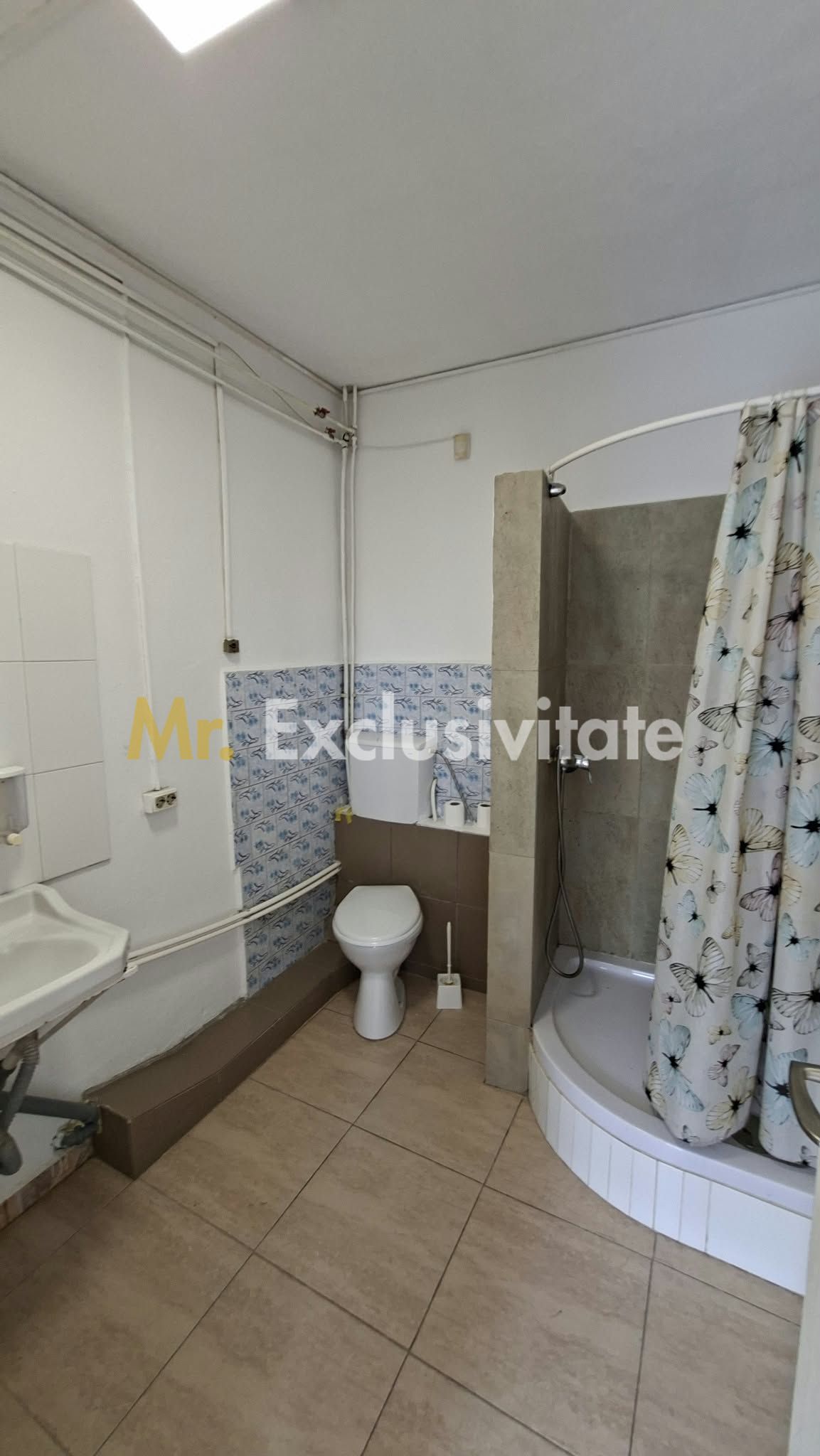 Inchiriere casal Bascov deschidere la DN7 — fotografia 7