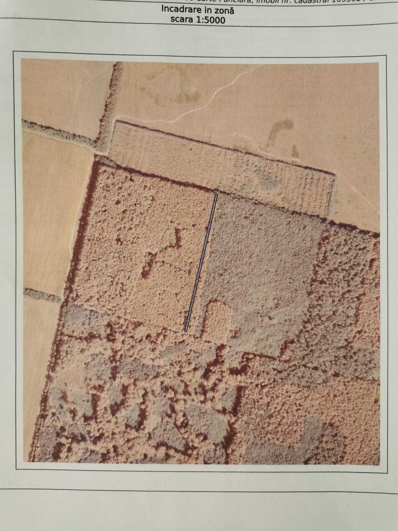Teren arabil si padure de vanzare — fotografia 5