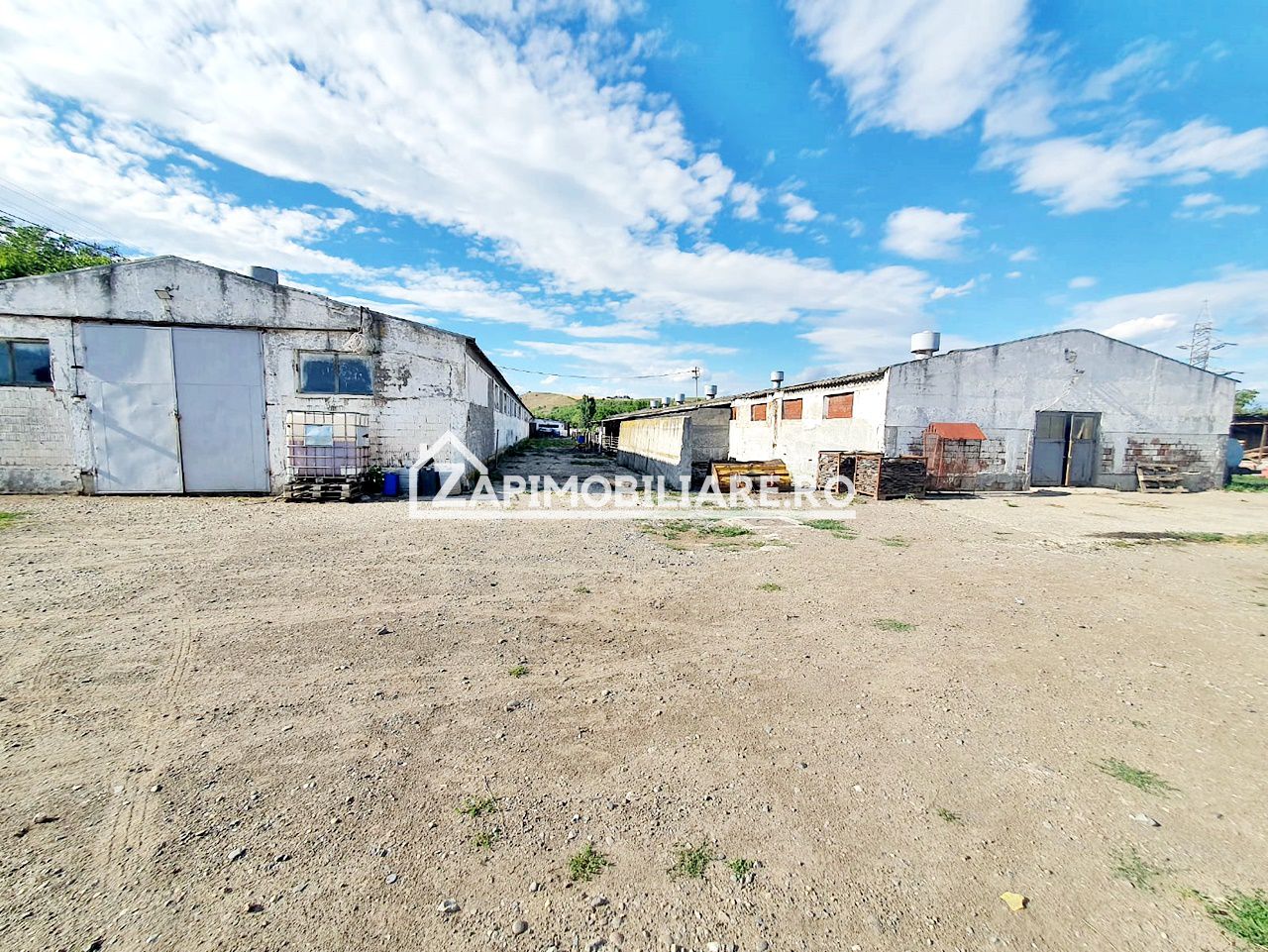 Hale cu suprafete utile de 832 mp si 578 mp. birouri 187 mp — fotografia 5