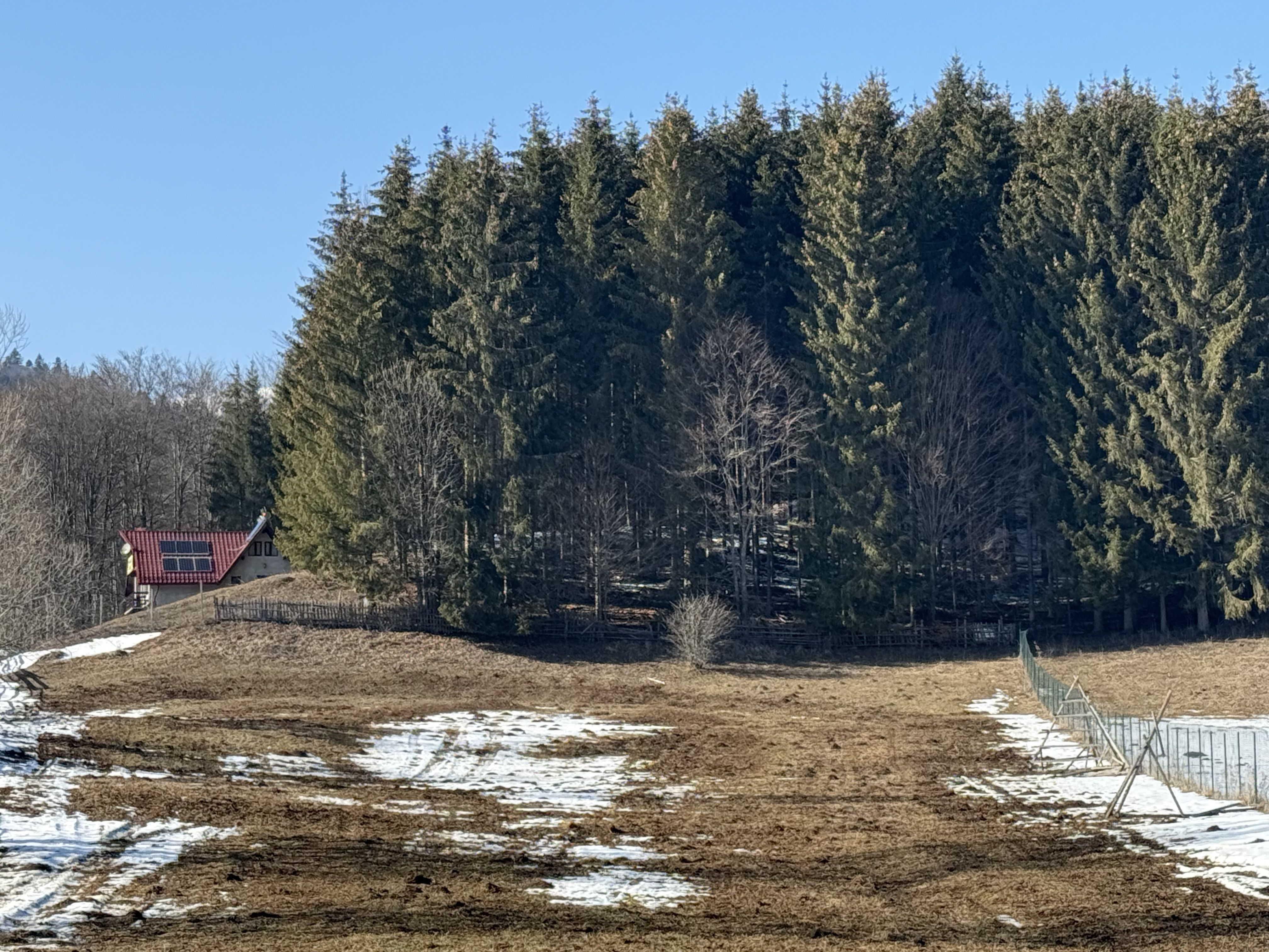 Teren intravilan 4521mp lângă pădure-valea Doftanei -Calea Brasovului — fotografia 4