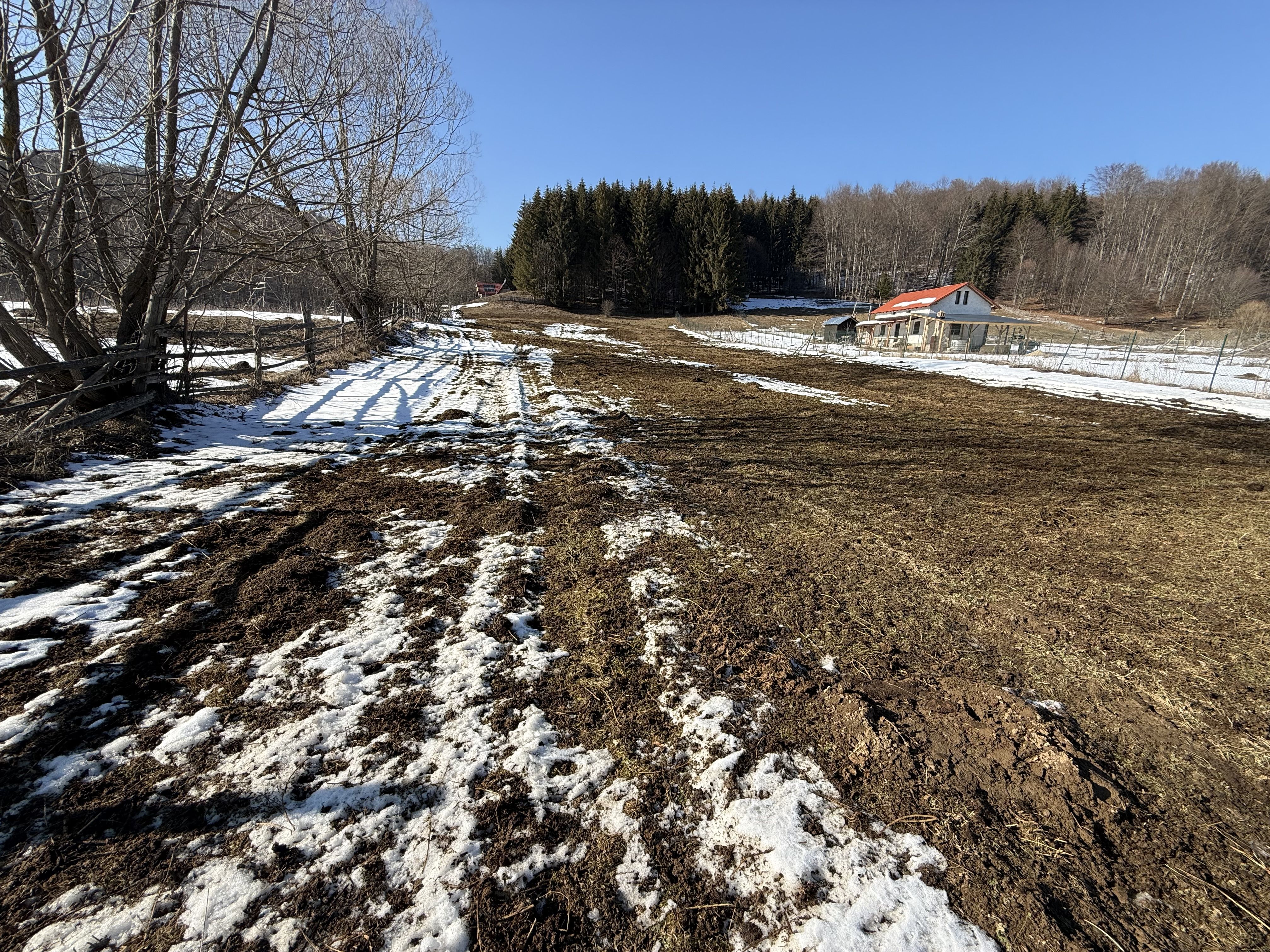 Teren intravilan 4521mp lângă pădure-valea Doftanei -Calea Brasovului — fotografia 6
