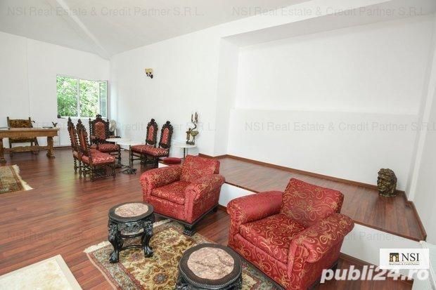 Cișmigiu, Vila interbelica eleganta D+P+1, curte — fotografia 4