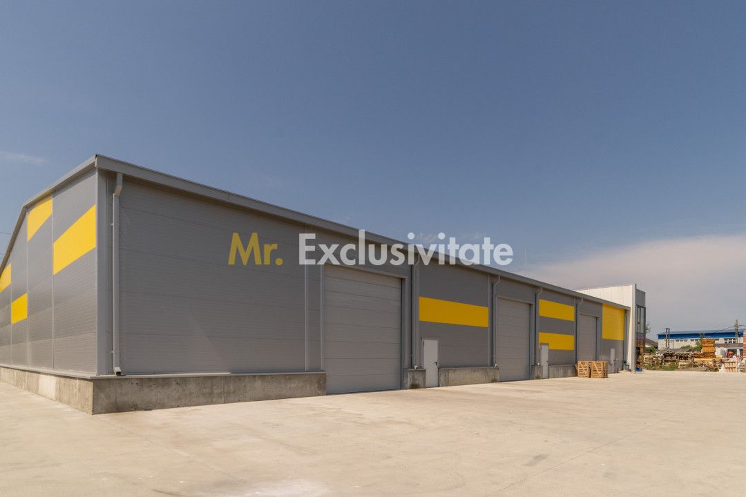 Inchiriere hala noua zona Bascov la DN 7C — fotografia 12