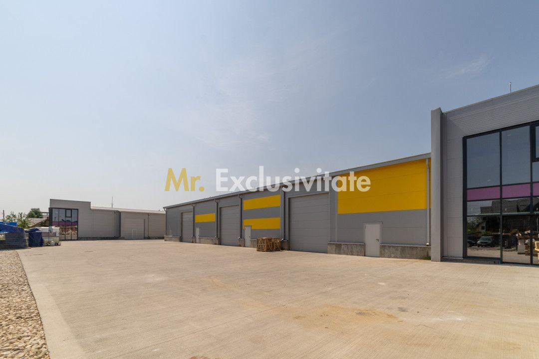 Inchiriere hala noua zona Bascov la DN 7C — fotografia 8