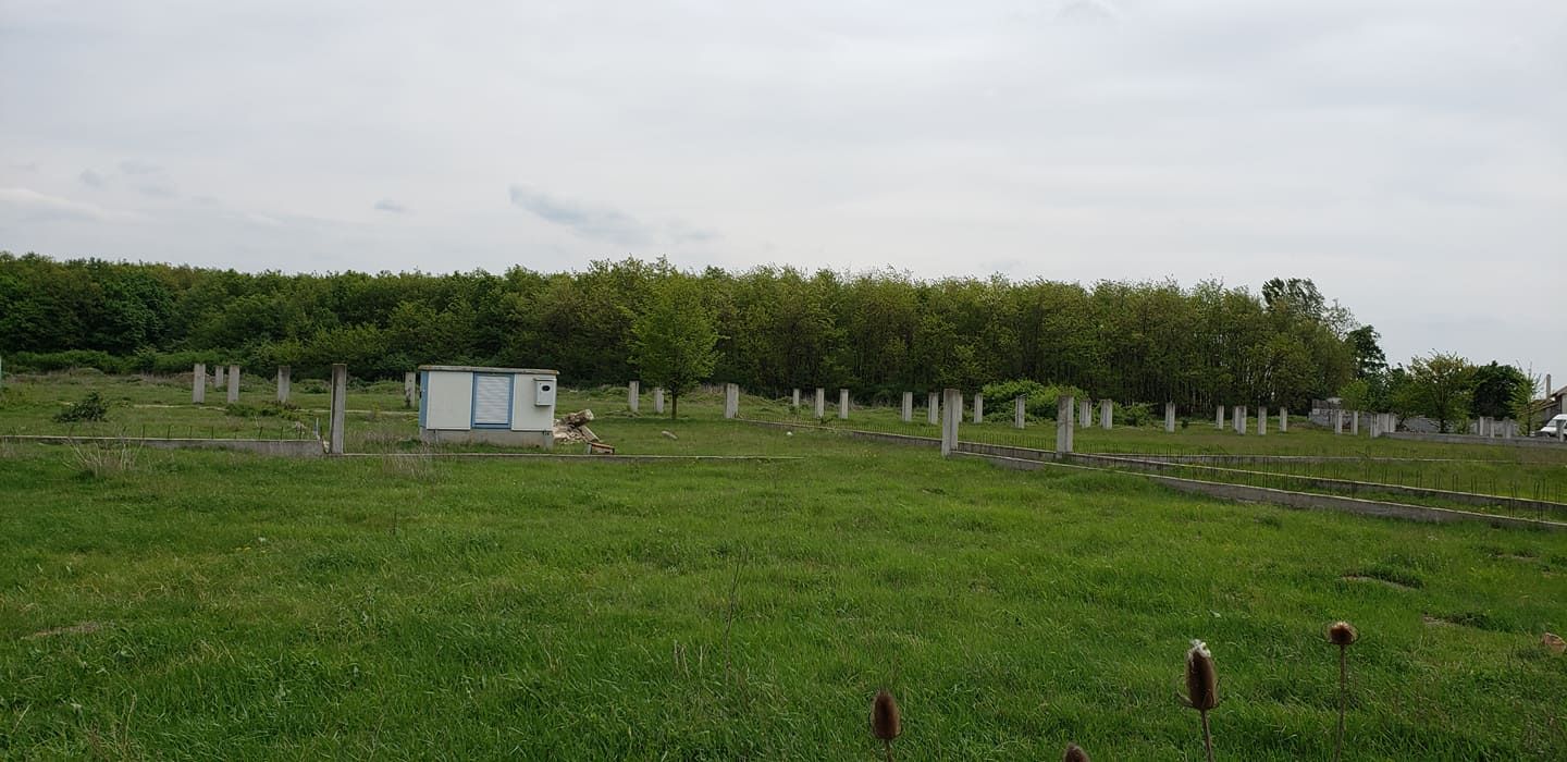 Teren intravilan 31 parcele, situate in comuna Gepiu, Bihor - vanzare — fotografia 10