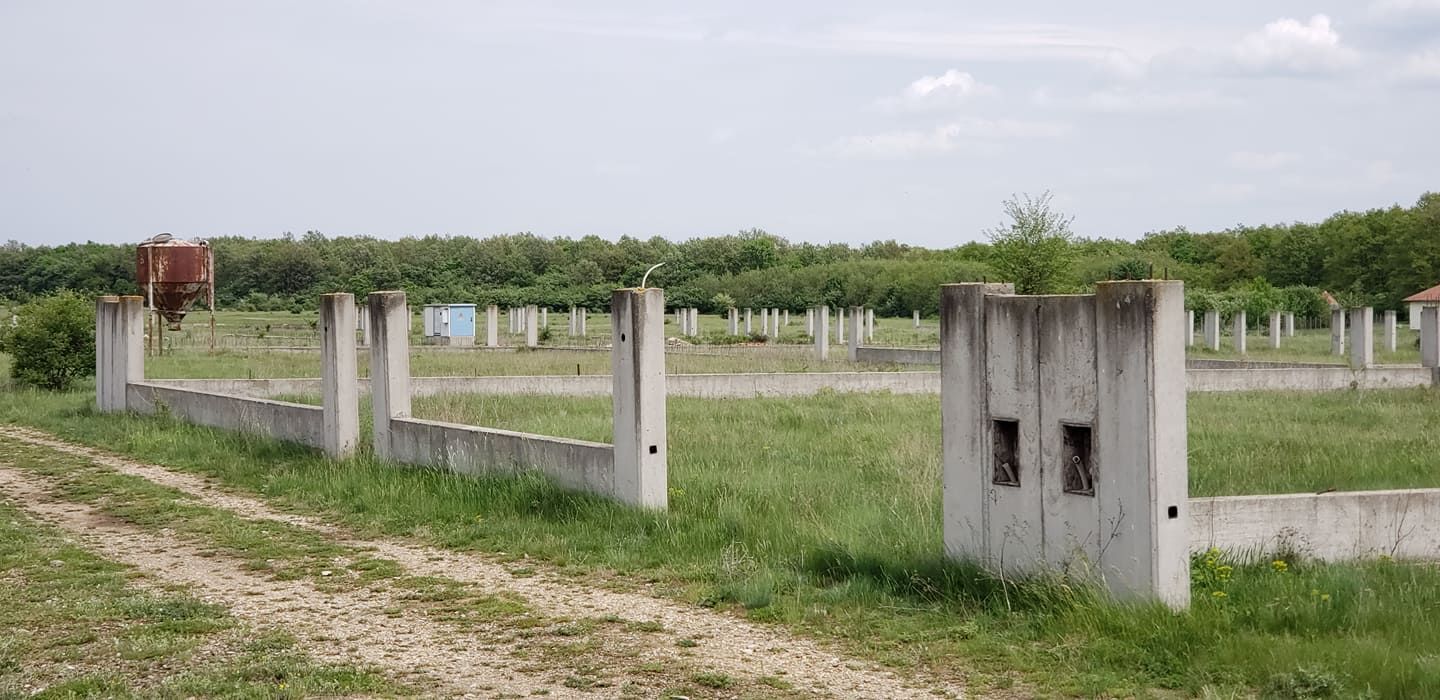 Teren intravilan 31 parcele, situate in comuna Gepiu, Bihor - vanzare — fotografia 11