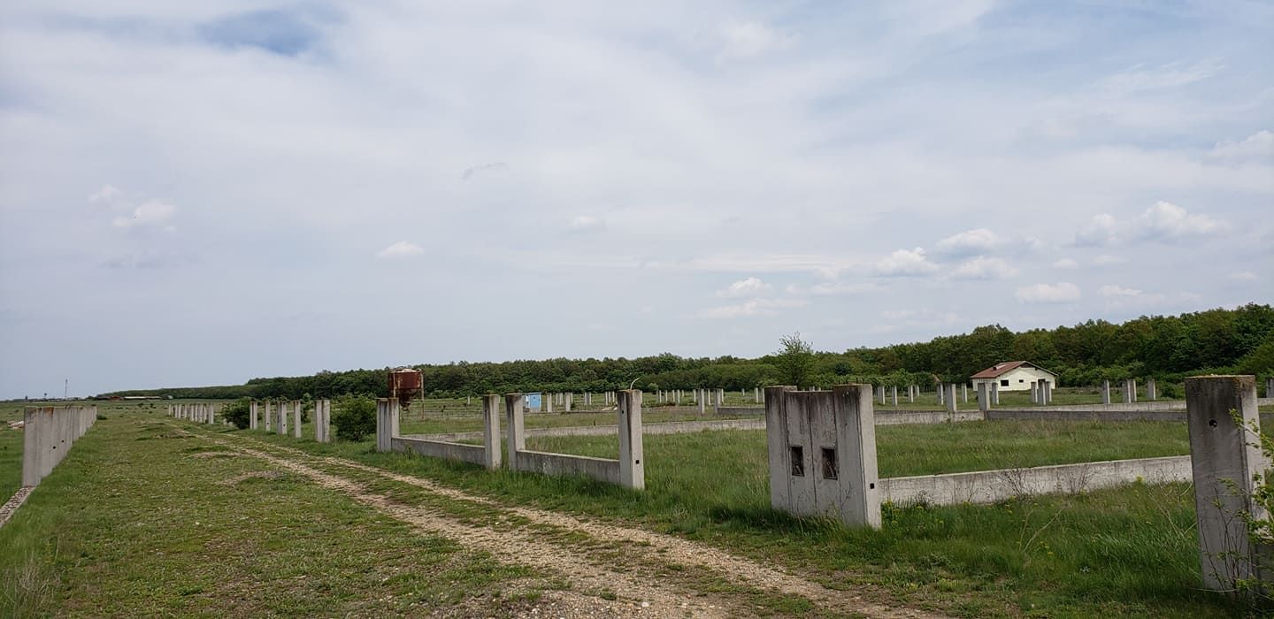 Teren intravilan 31 parcele, situate in comuna Gepiu, Bihor - vanzare — fotografia 7