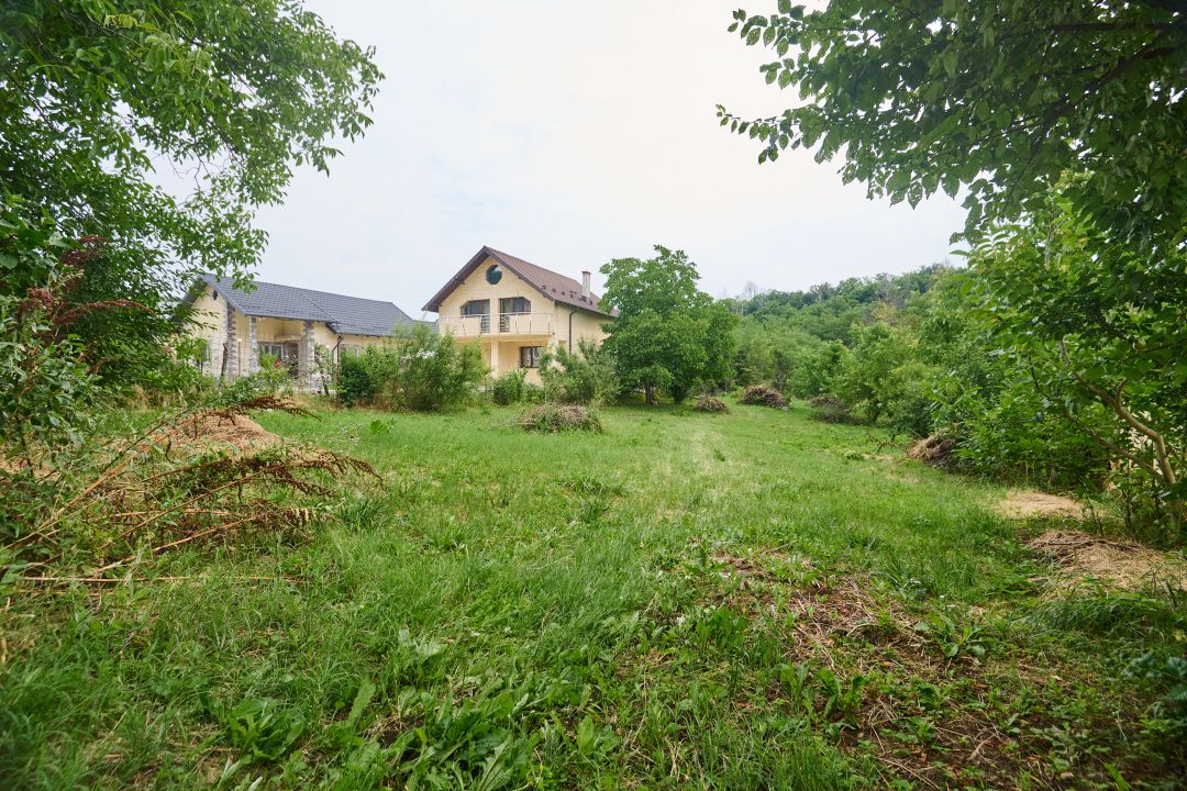 Teren 2240 mp intravilan + casa batraneasca Hintesti-Basangesti — fotografia 4