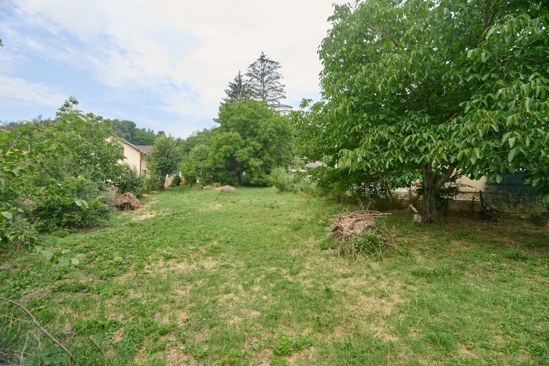 Teren 2240 mp intravilan + casa batraneasca Hintesti-Basangesti — fotografia 8