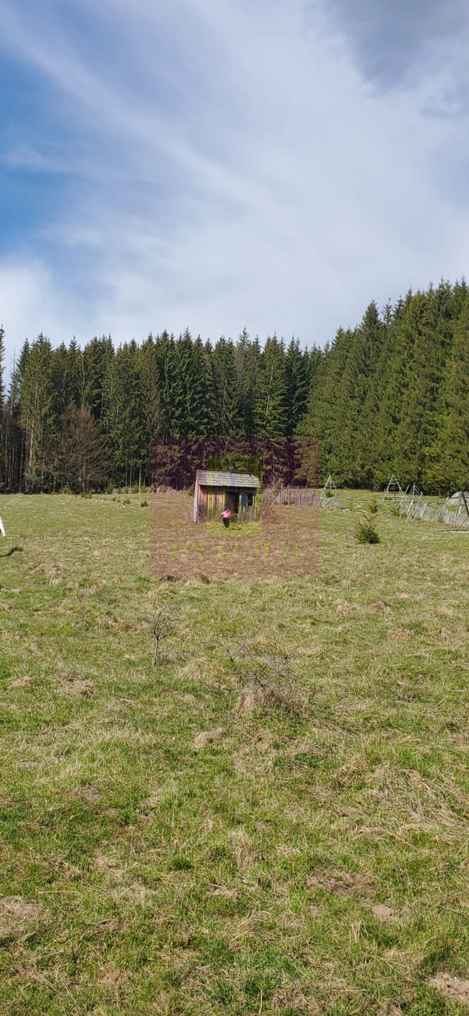 Teren intravilan 2500 mp in Valea Doftanei — fotografia 3