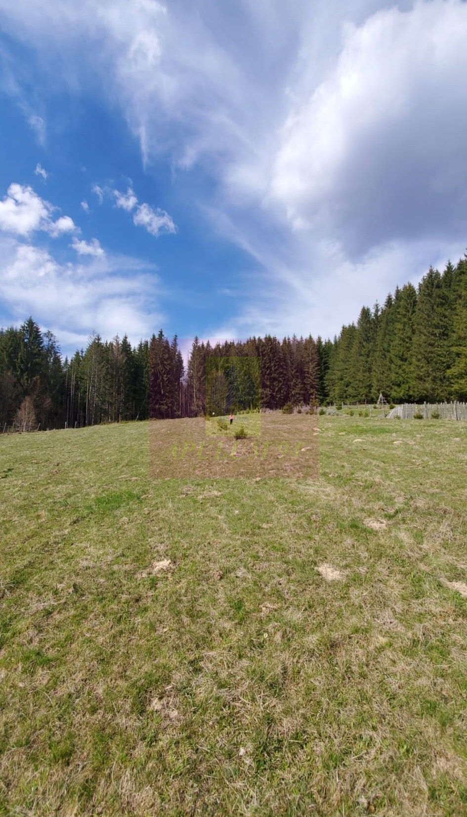 Teren intravilan 2500 mp in Valea Doftanei — fotografia 4