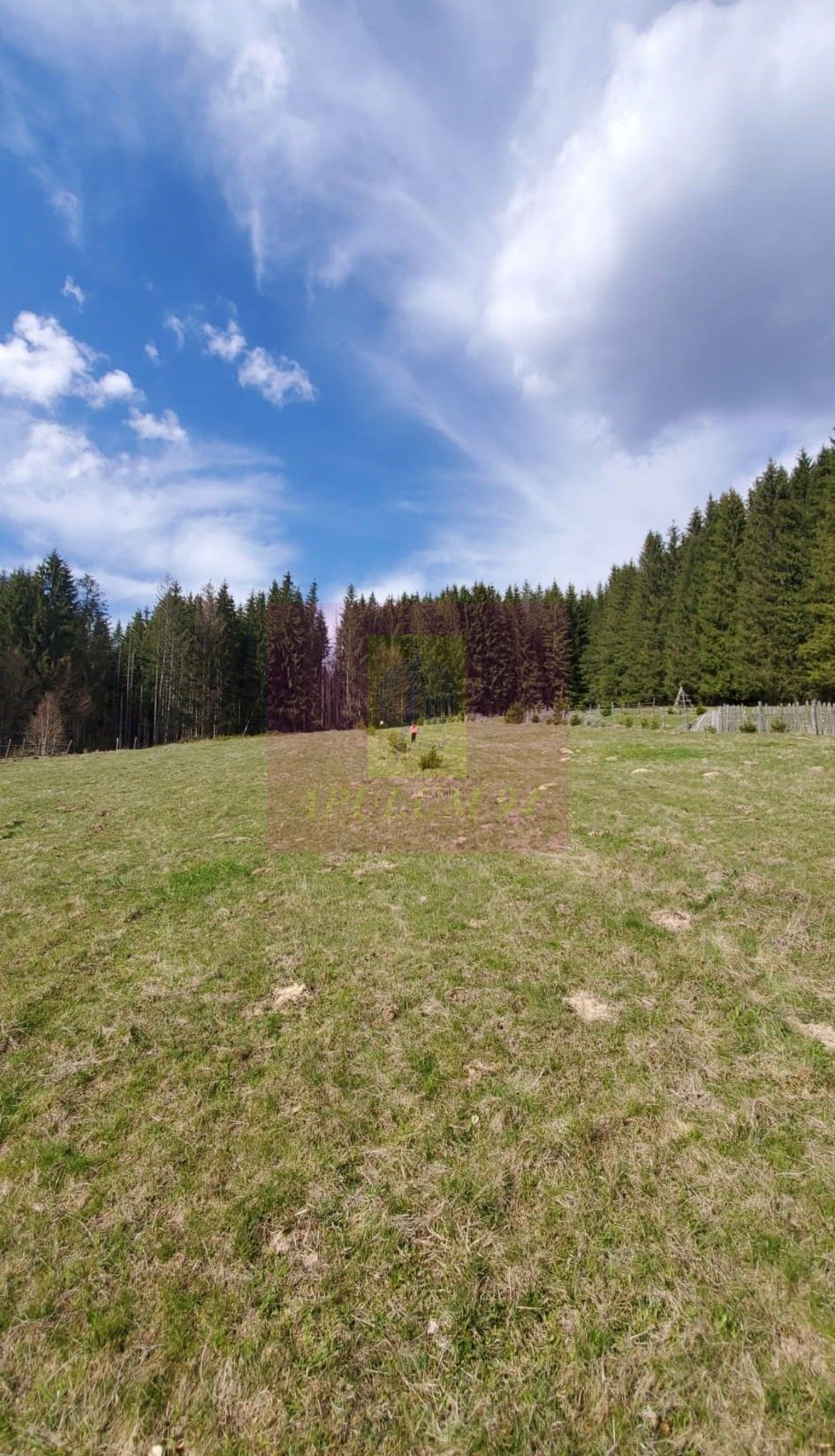 Teren intravilan 2500 mp in Valea Doftanei — fotografia 5