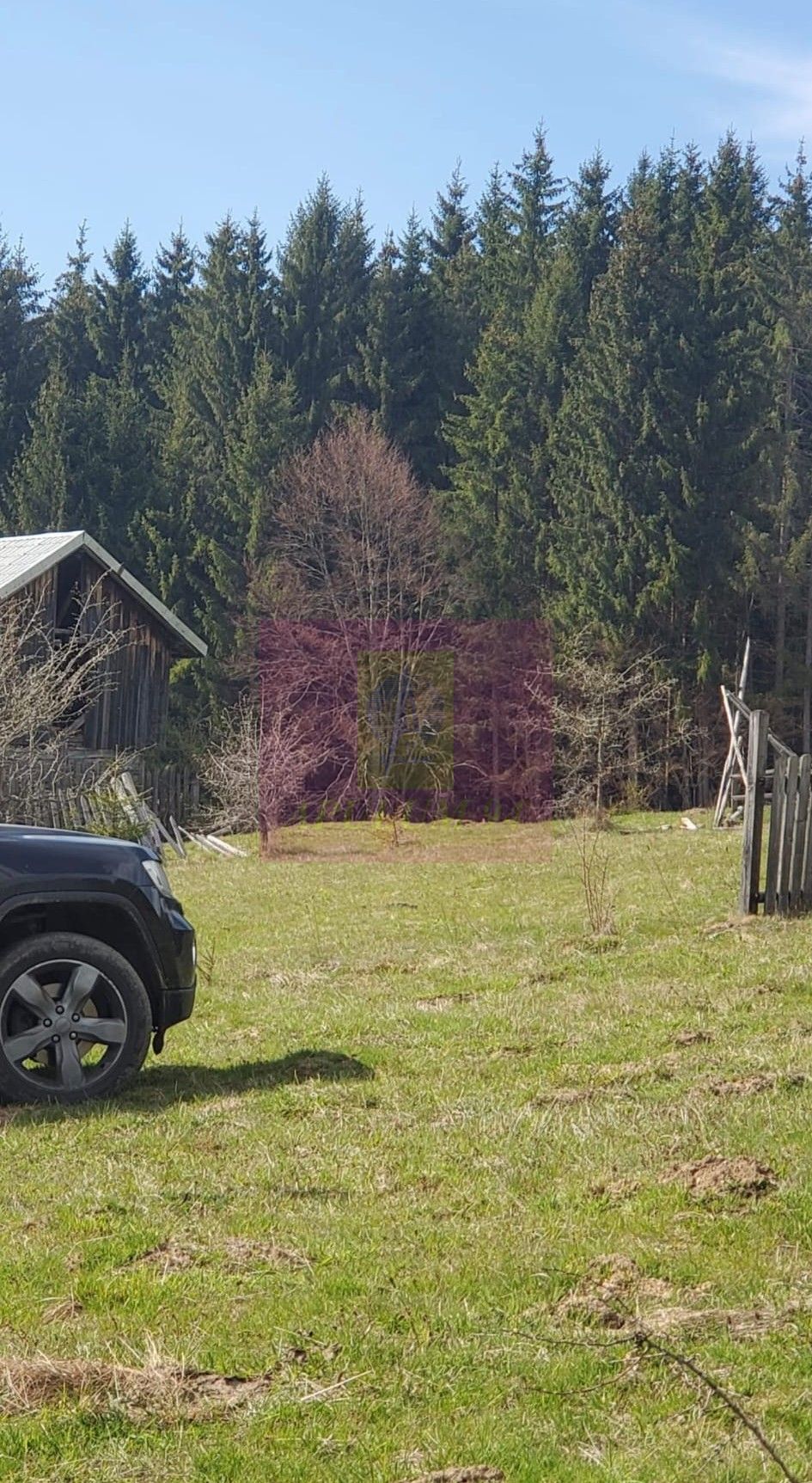Teren intravilan 2500 mp in Valea Doftanei — fotografia 6