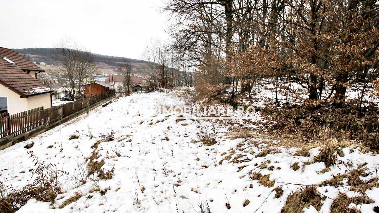 Teren 800 mp.  36 euro mp.Corunca zona Toyota — fotografia 7